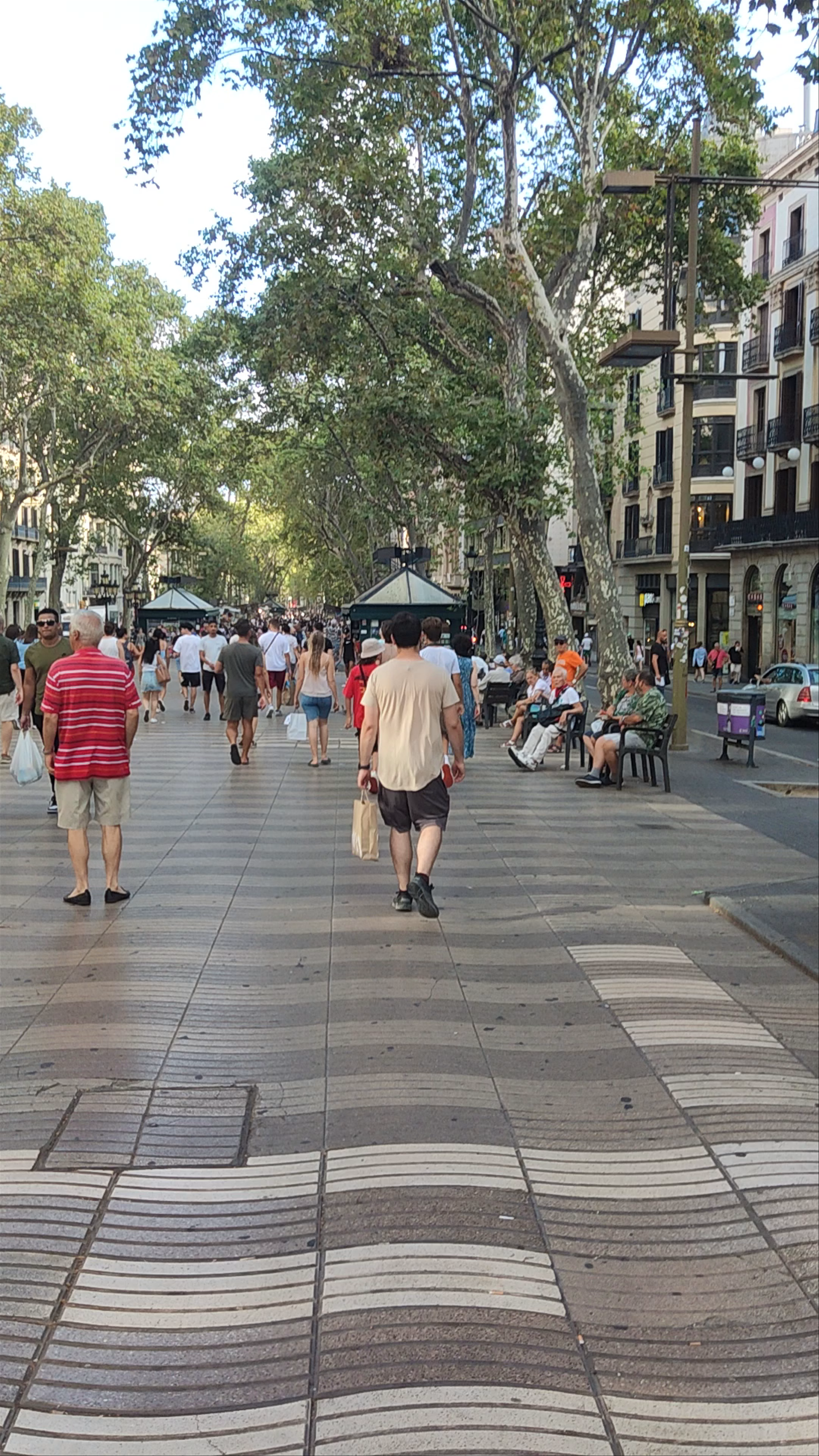 Las Ramblas: Vibrant Street Life in Barcelona