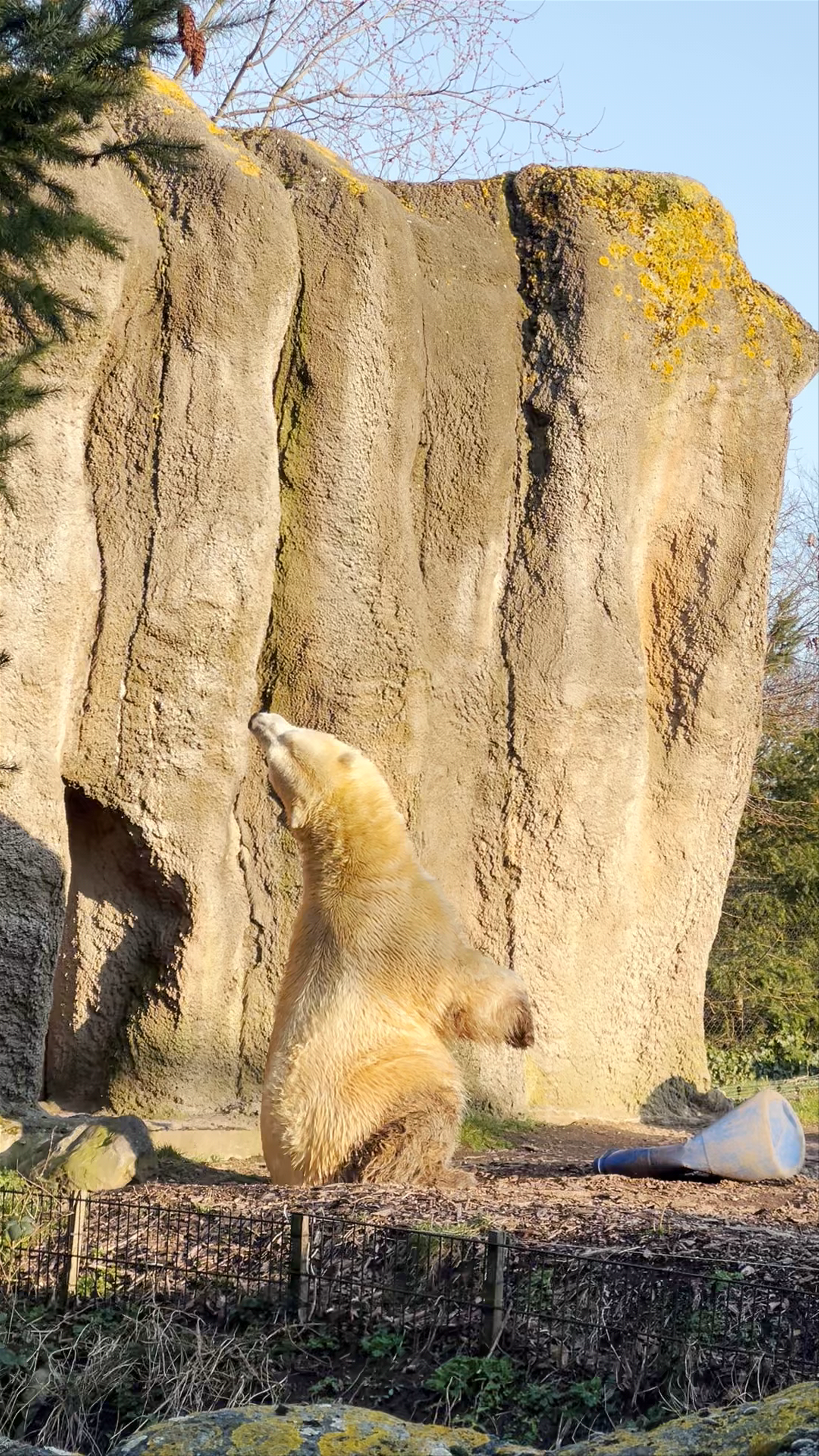 Rotterdam Zoo