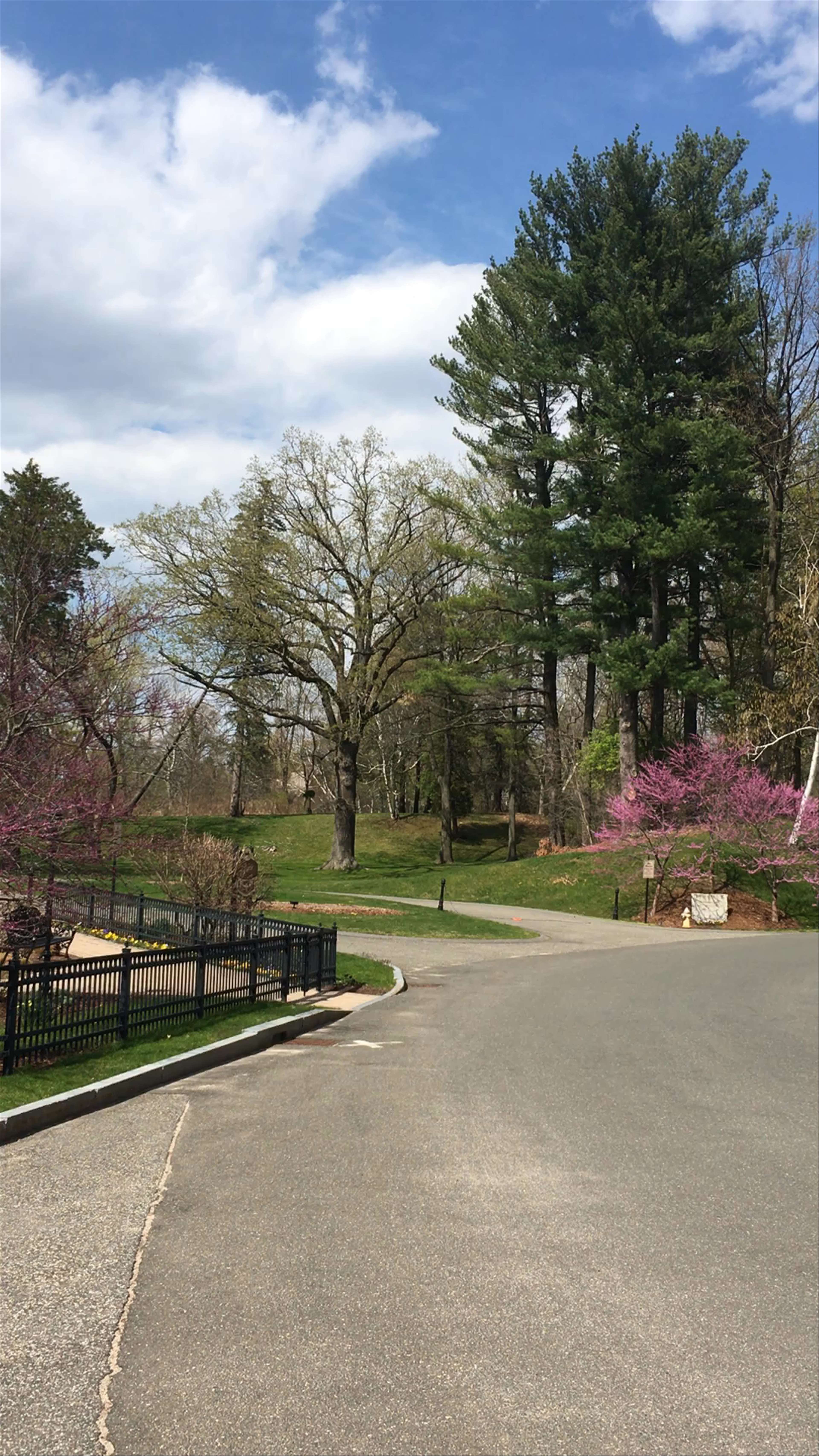 Architecture in MA Park