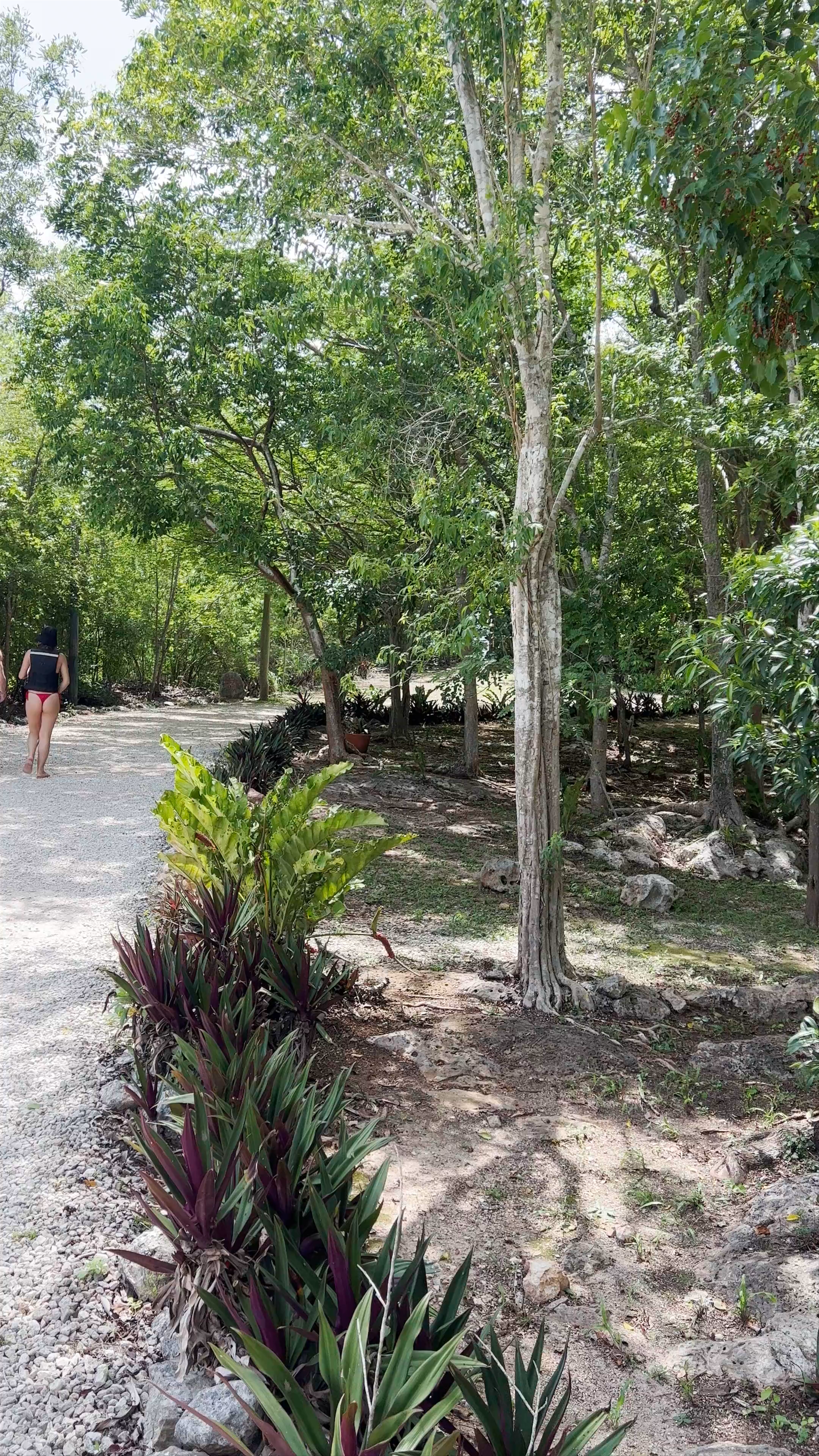 Cenote Suytun