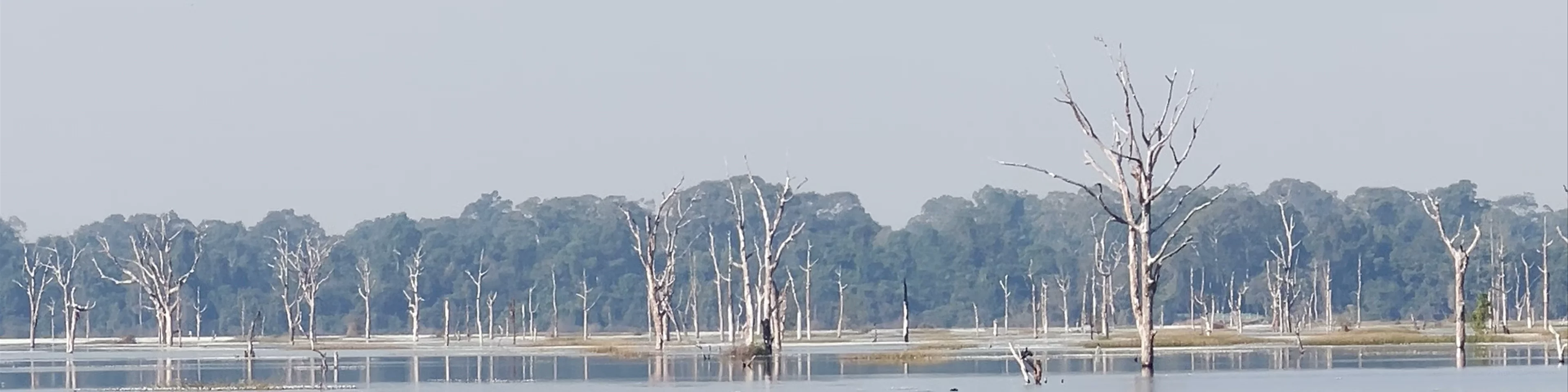 Neak Pean