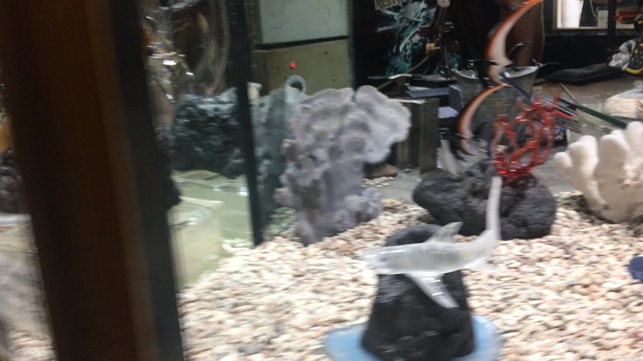 Kai Pua - Art Galleries Near Me - Lahaina, Hawaii