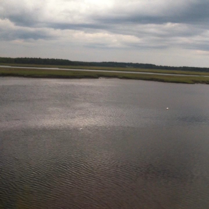 Amtrak Downeaster - Going though the marsh in Scarborough. - Transportation Near Me - Portland, Maine