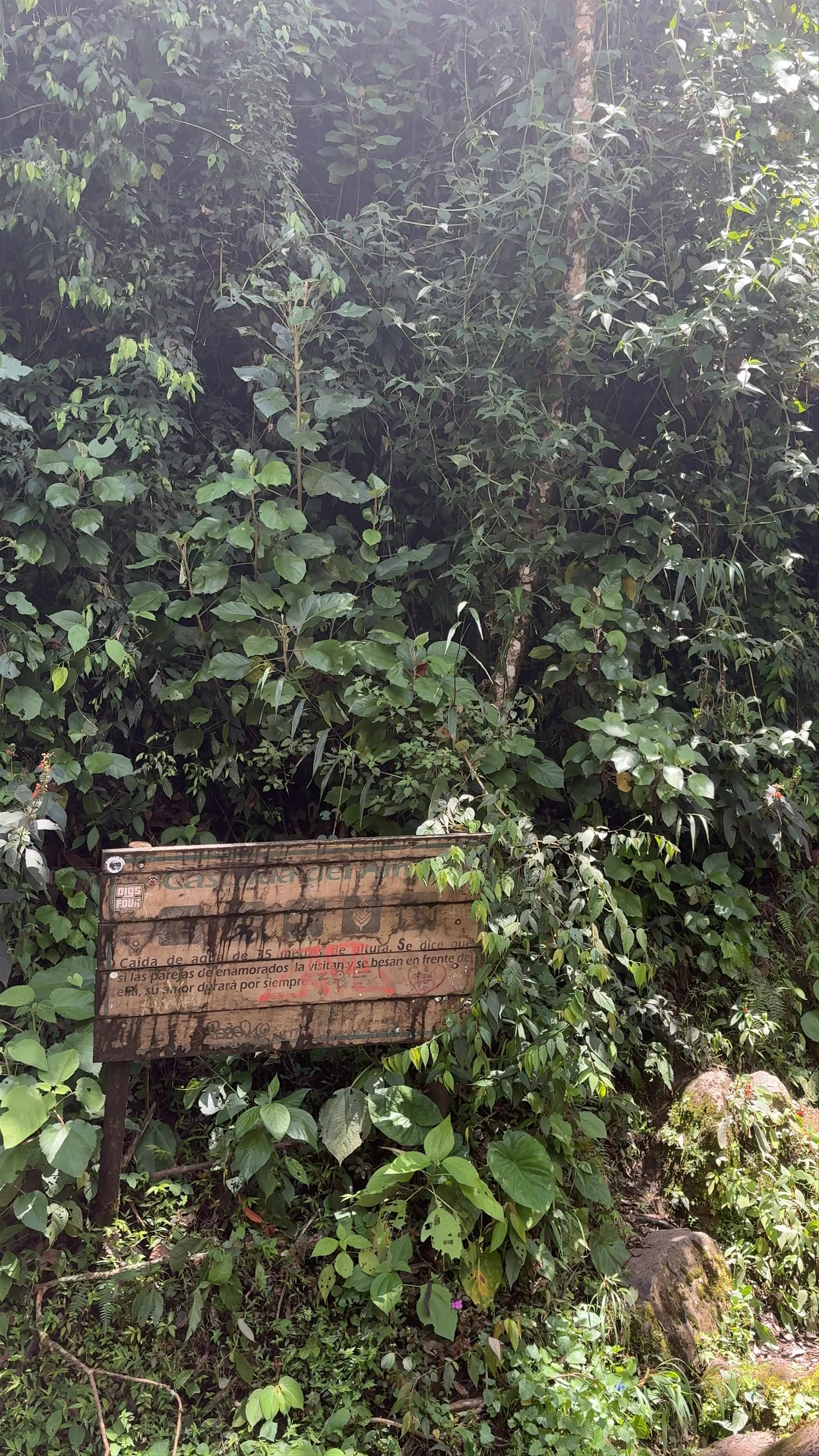 Cascada del Amor