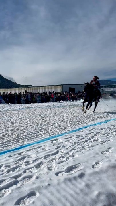Estes Park Events Complex - Skijoring Competition the competitor let go of the rope - Venues & Event Spaces Near Me - Estes Park, Colorado