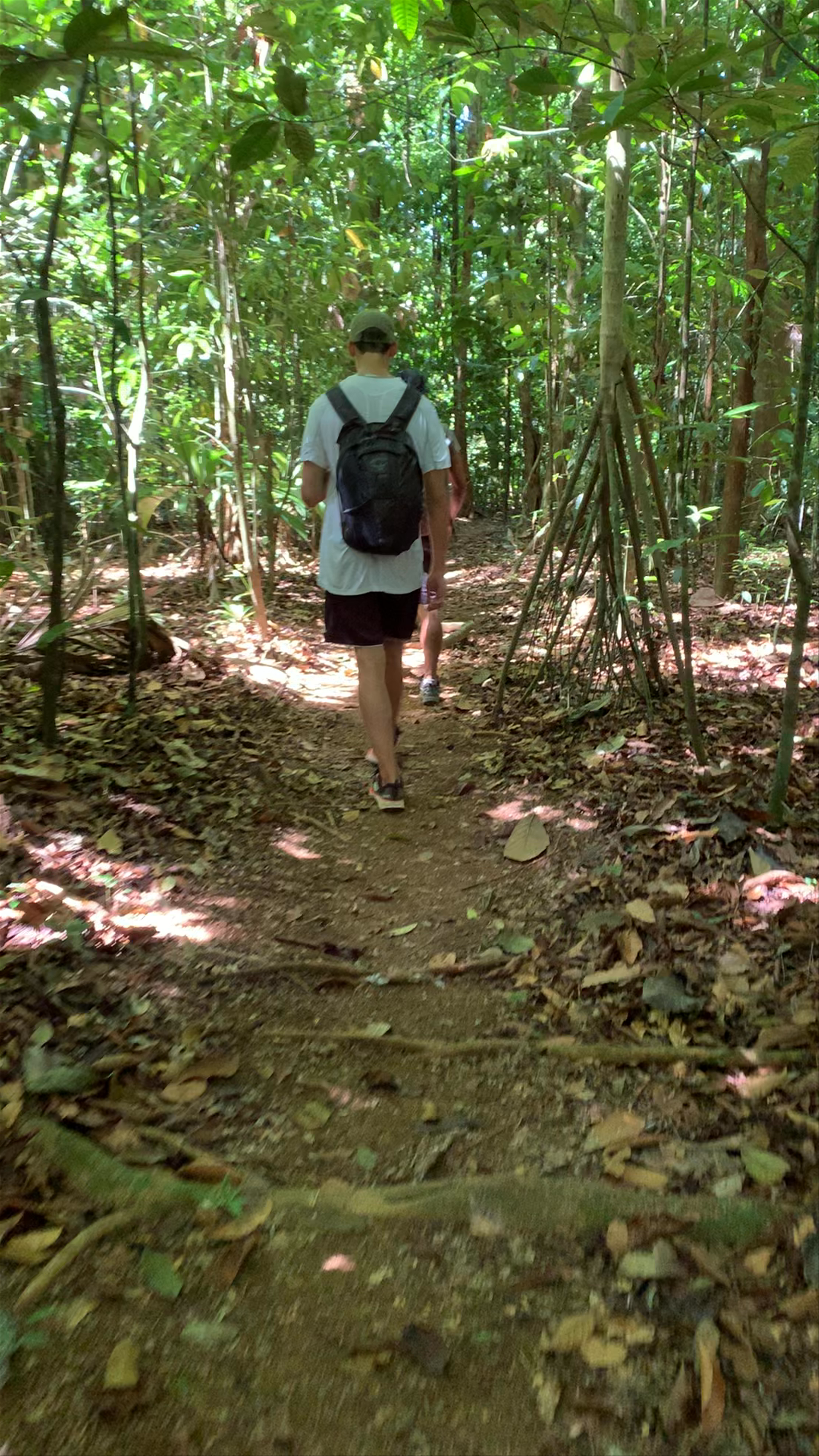 Corcovado National Park