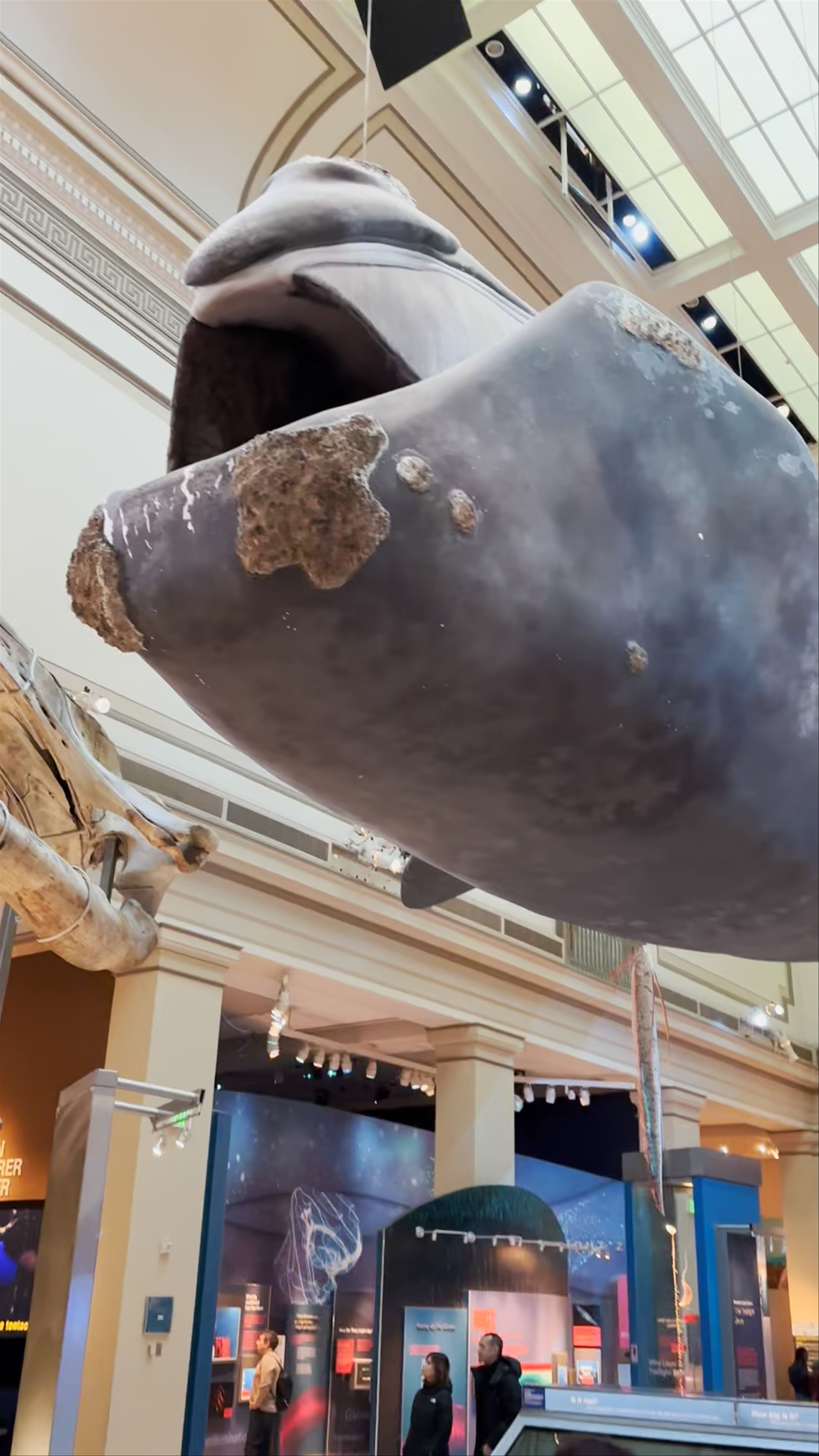 Smithsonian National Museum of Natural History