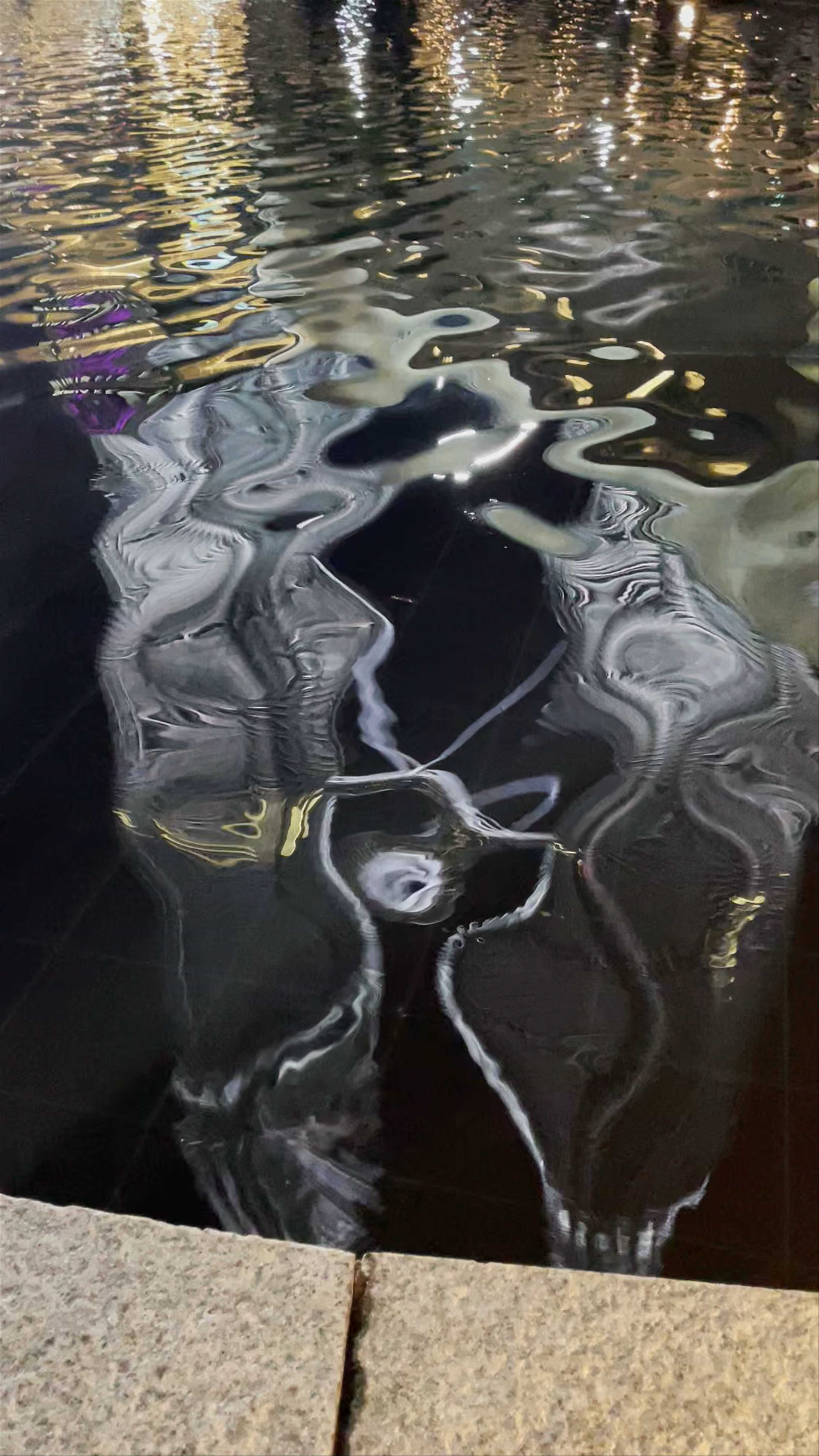 Petronas Twin Towers