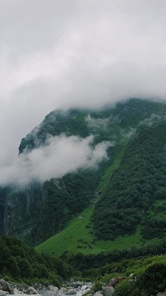 Photo of 📍Ghangaria Trek, va