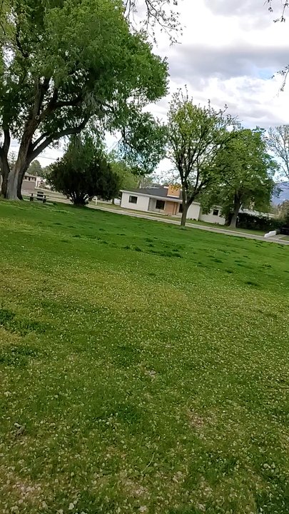 Ridgecrest Park - Now I have energy:-) - Parks Near Me - Albuquerque, New Mexico