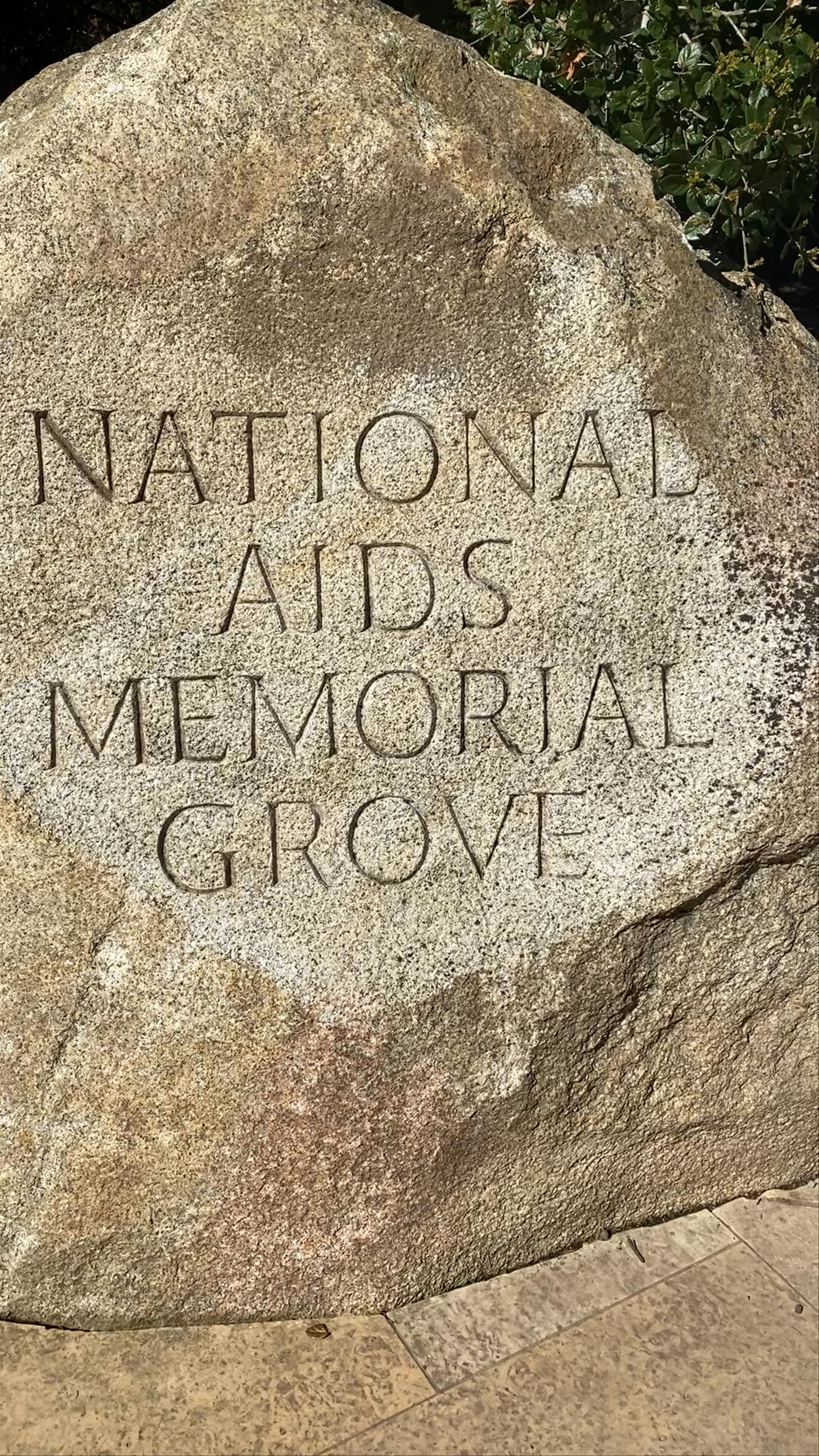 National AIDS Memorial Grove