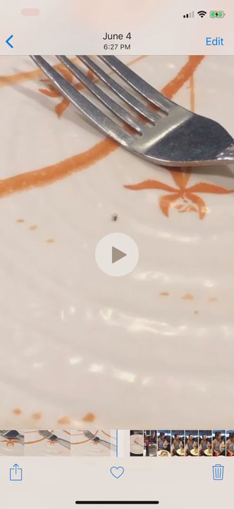 Nagoya Steak and Sushi - dead bug on my plate - owner or manager denied it when I asked her for a new plate - Sushi Bars Near Me - Austin, Texas