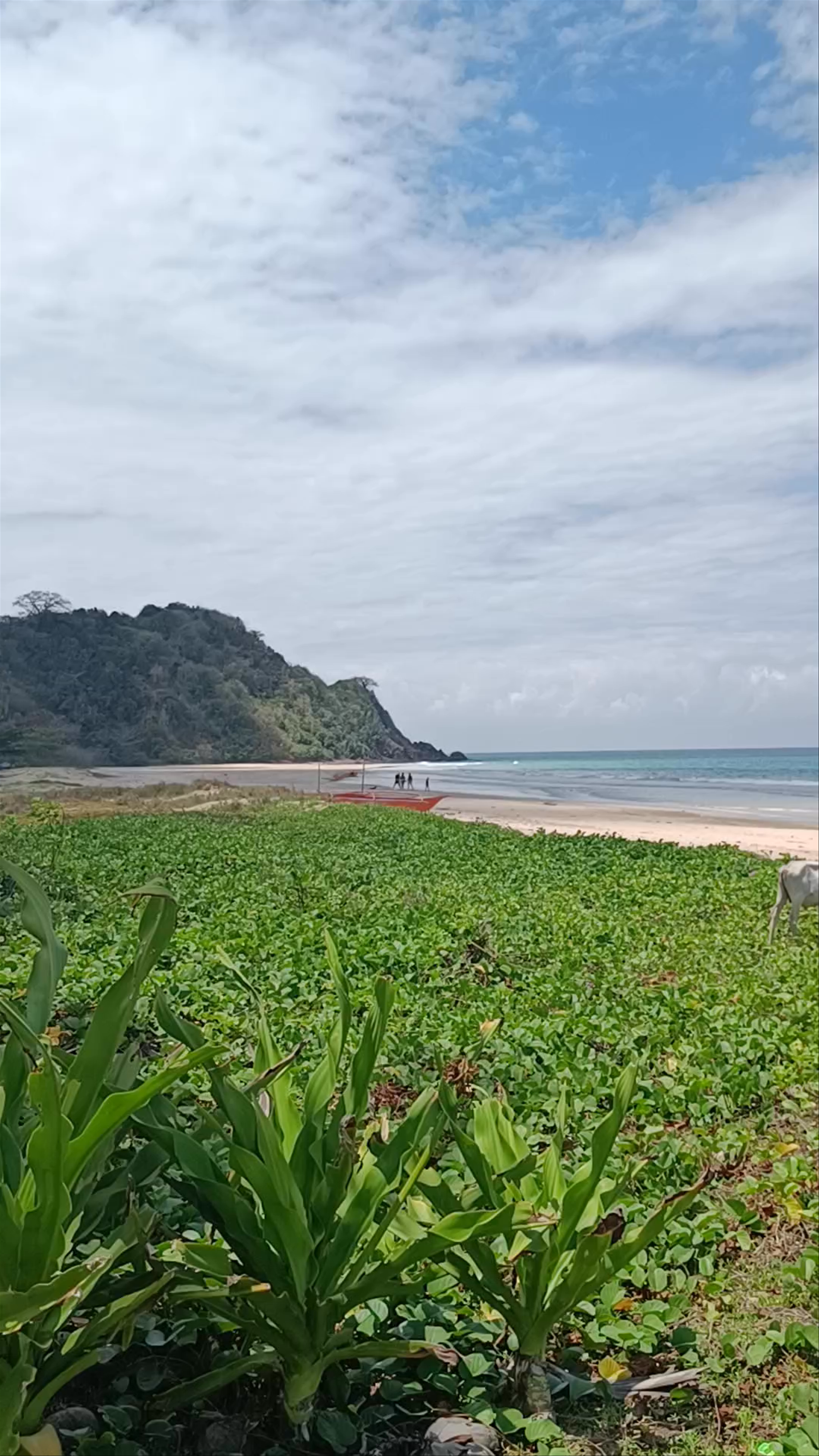 Nacpan Beach Glamping (H Hospitality Group)