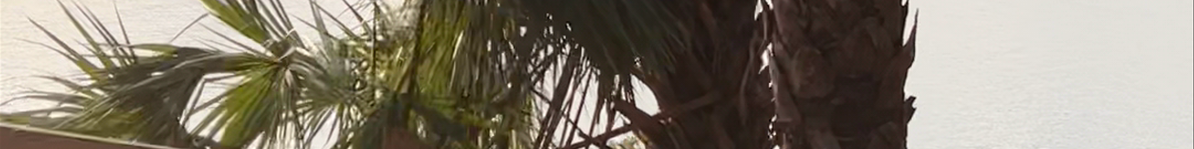 Tours & experiences in Palm Coast