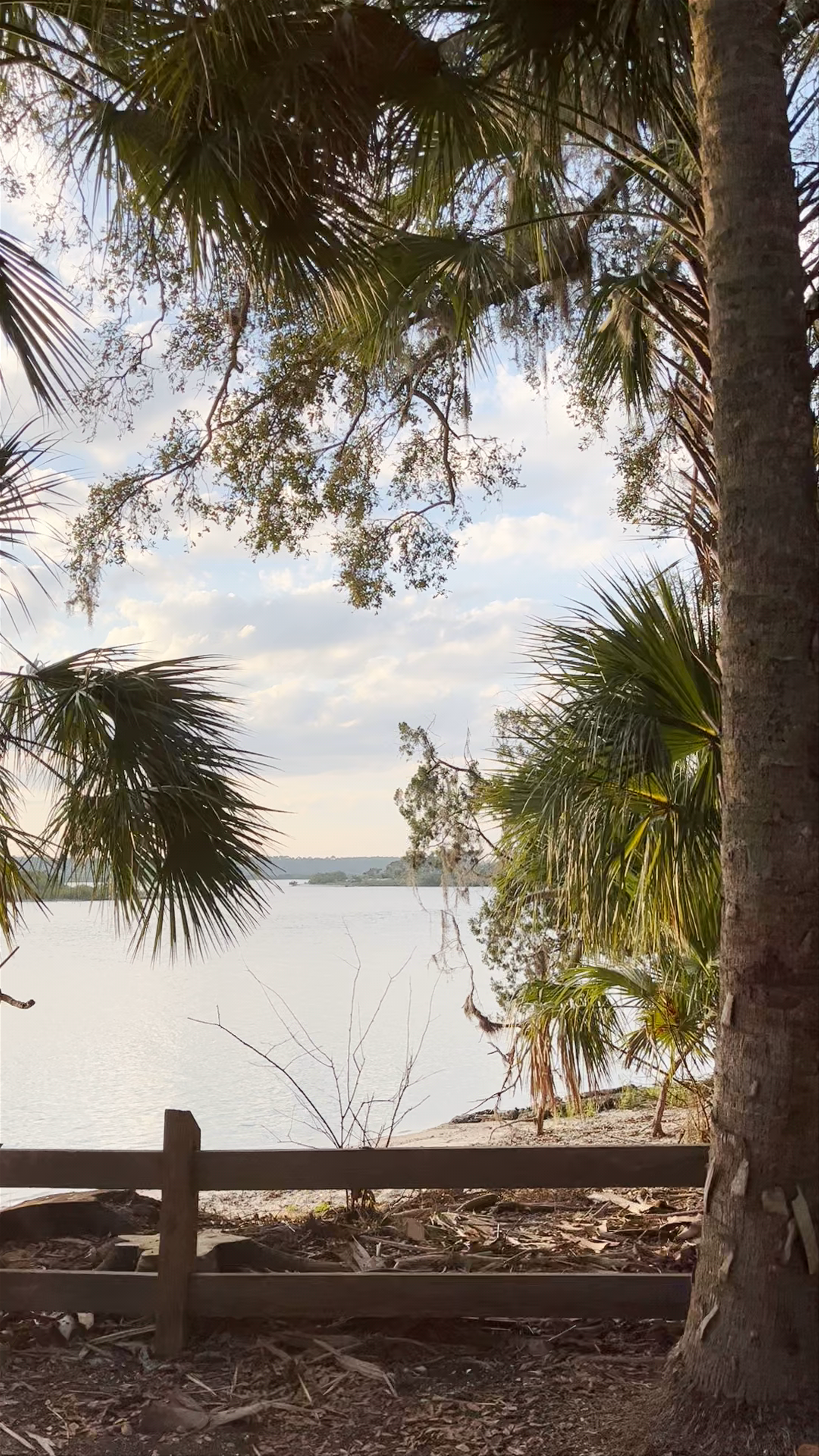 Serene Lakeside Views at Washington Oaks Gardens State Park