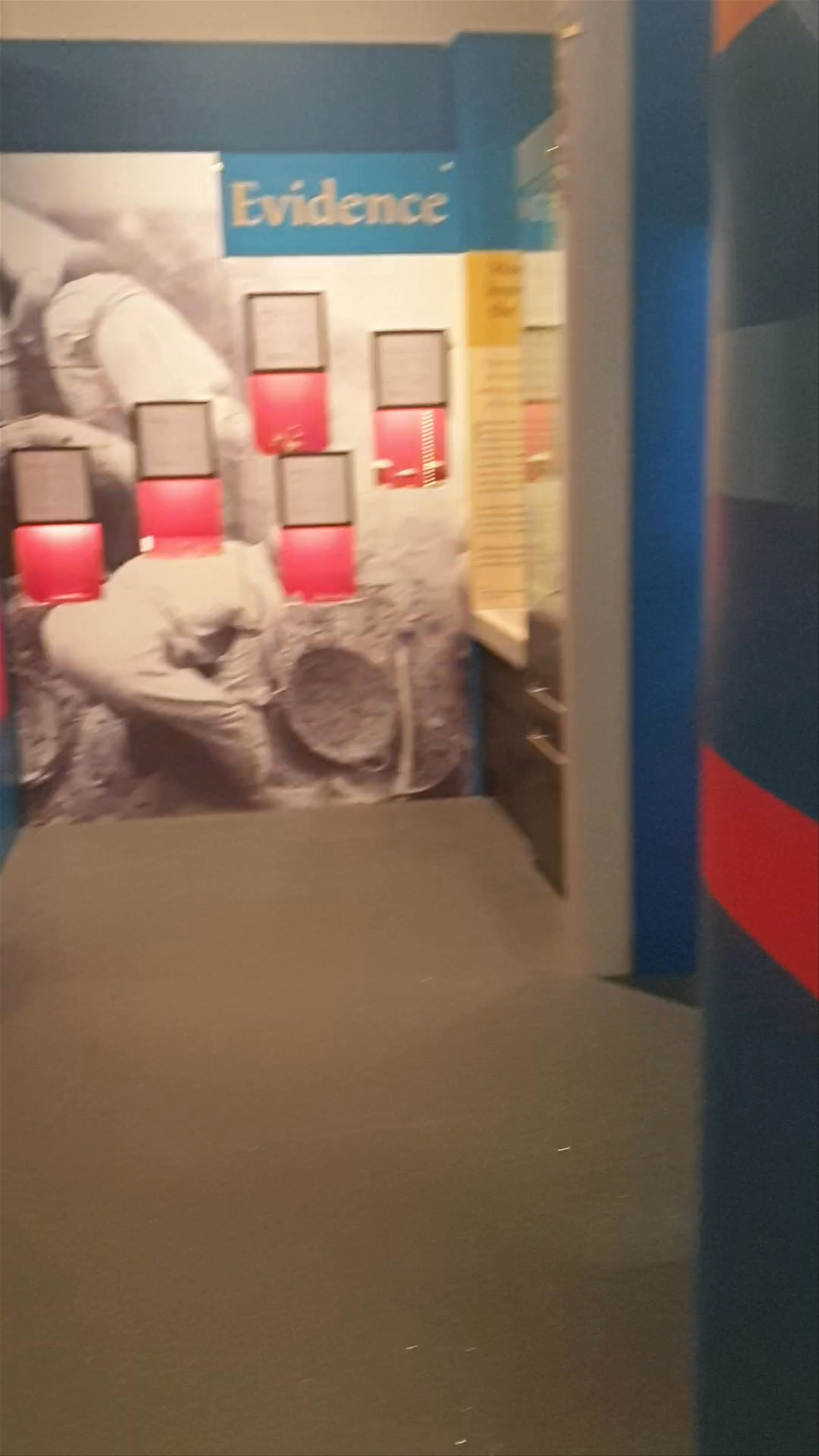 Royal Cornwall Museum