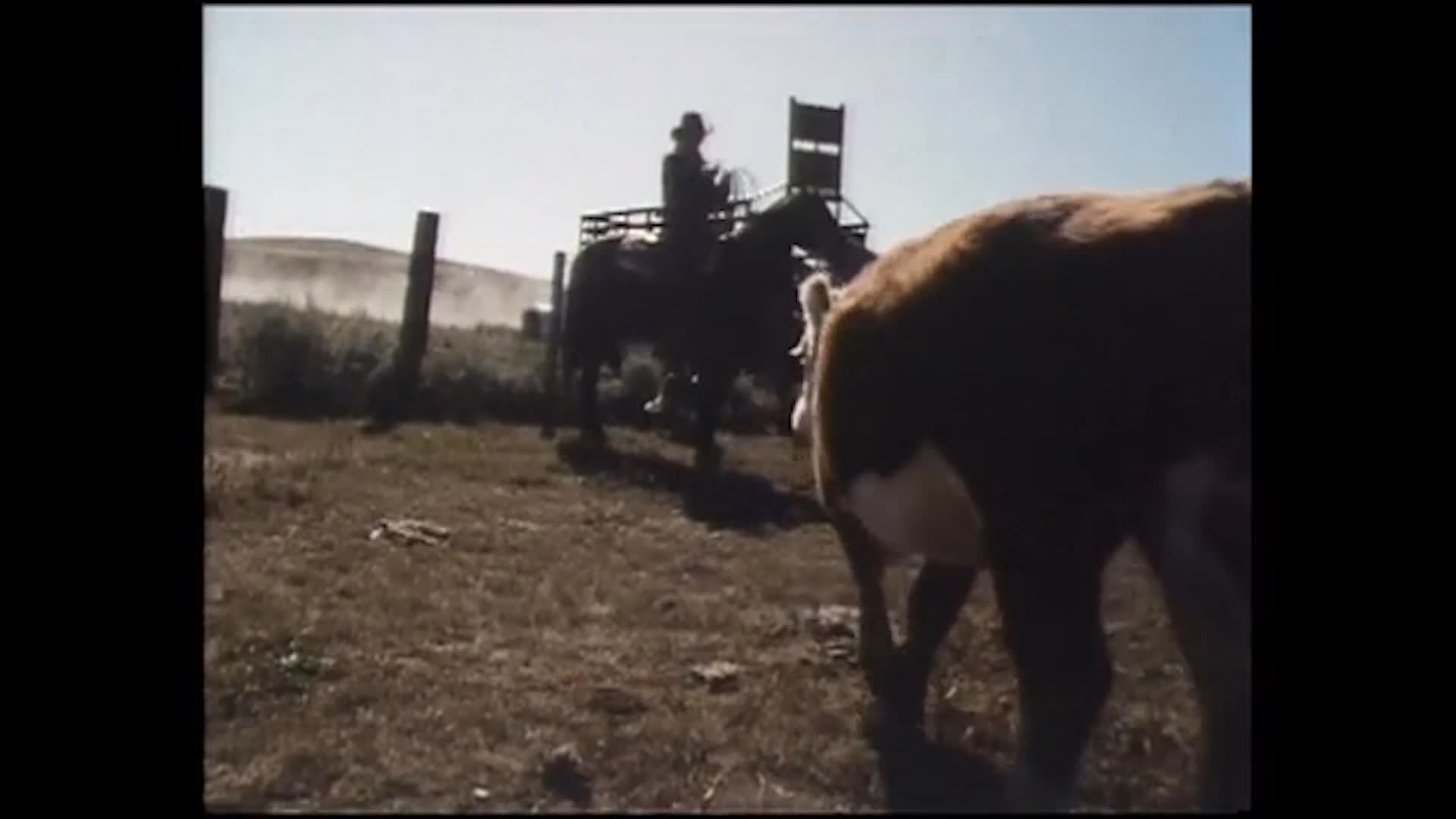 A cowboy on horseback handles a lasso and guides cattle through a dry ranch corral. The narration reflects on the strain of dealing with people and emotional distress.