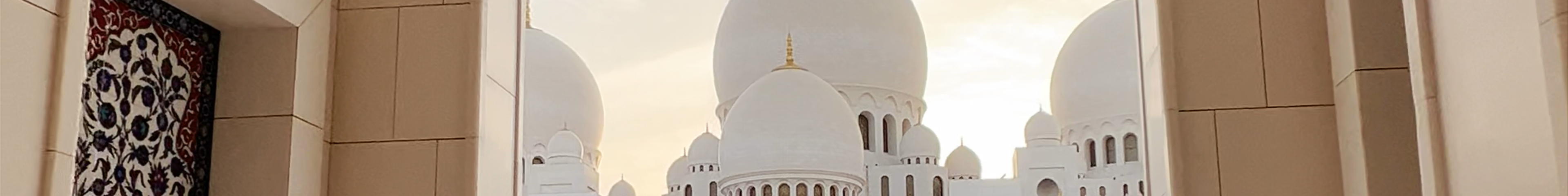Tours & experiences in United Arab Emirates