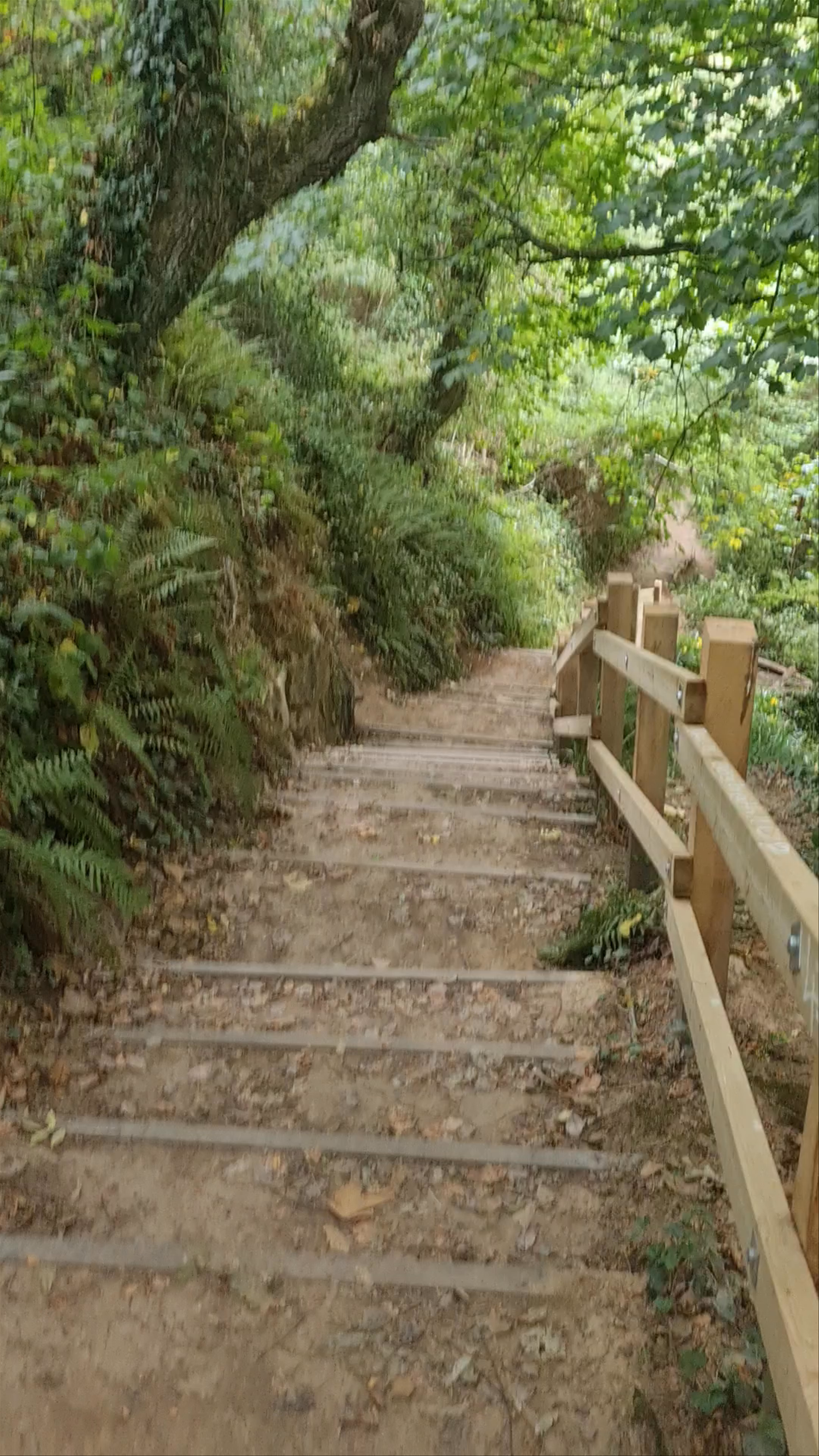 Hiking the Serene Trails of Hastings Country Park Nature Reserve