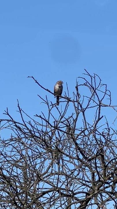 Bluff Trail Park - Parks Near Me - Playa del Rey, California