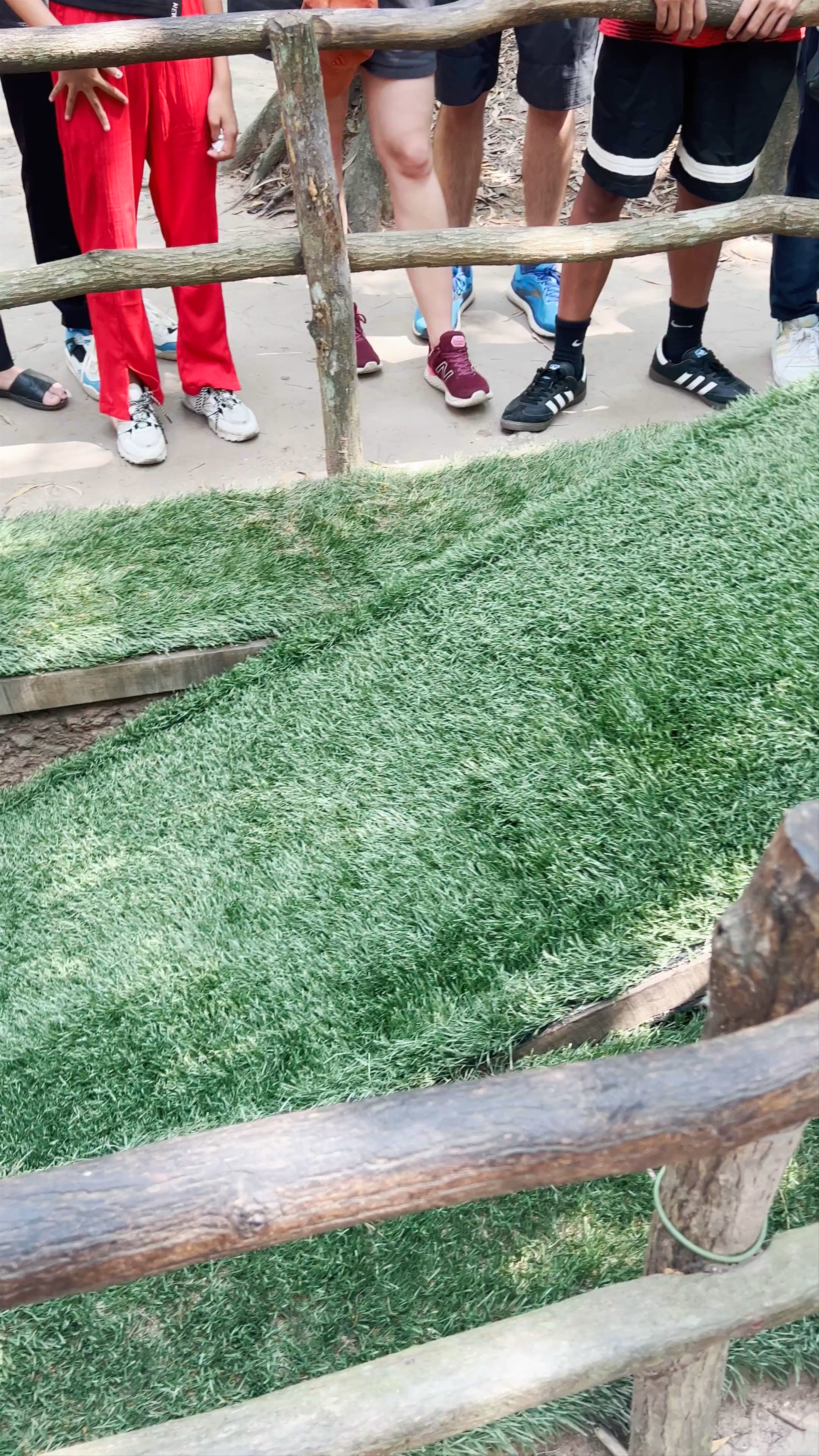 Exploring the Cu Chi Tunnels: A Glimpse into Vietnam’s Hidden War History