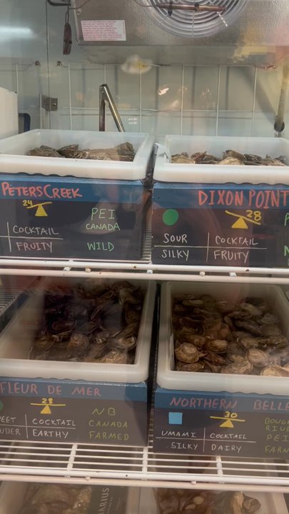 Fishtown Seafood - So many different types of fresh oysters! - Seafood Markets Near Me - Philadelphia, Pennsylvania