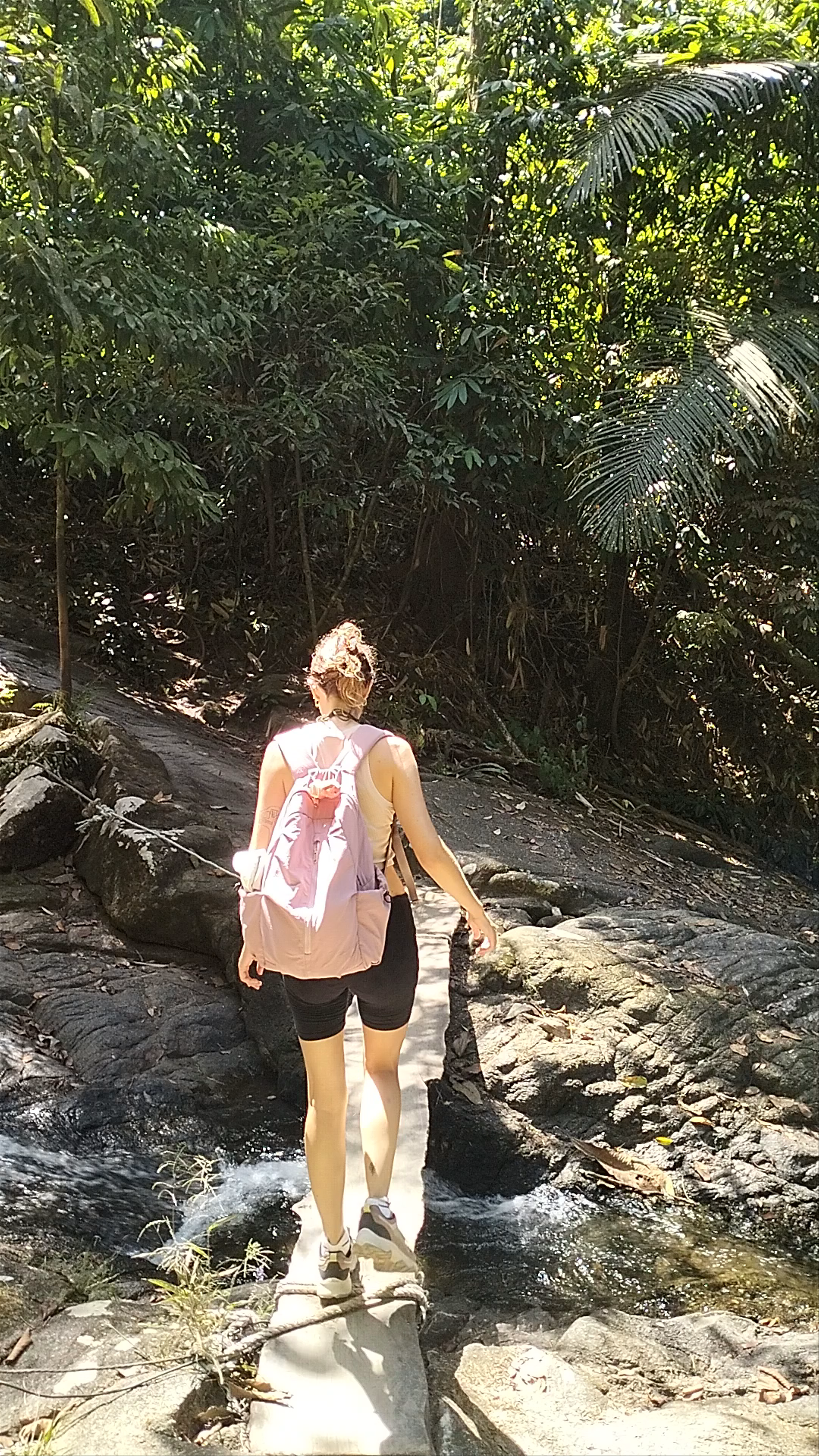 Adventurous Trek Through Khao Lak-Lam Ru National Park, Thailand