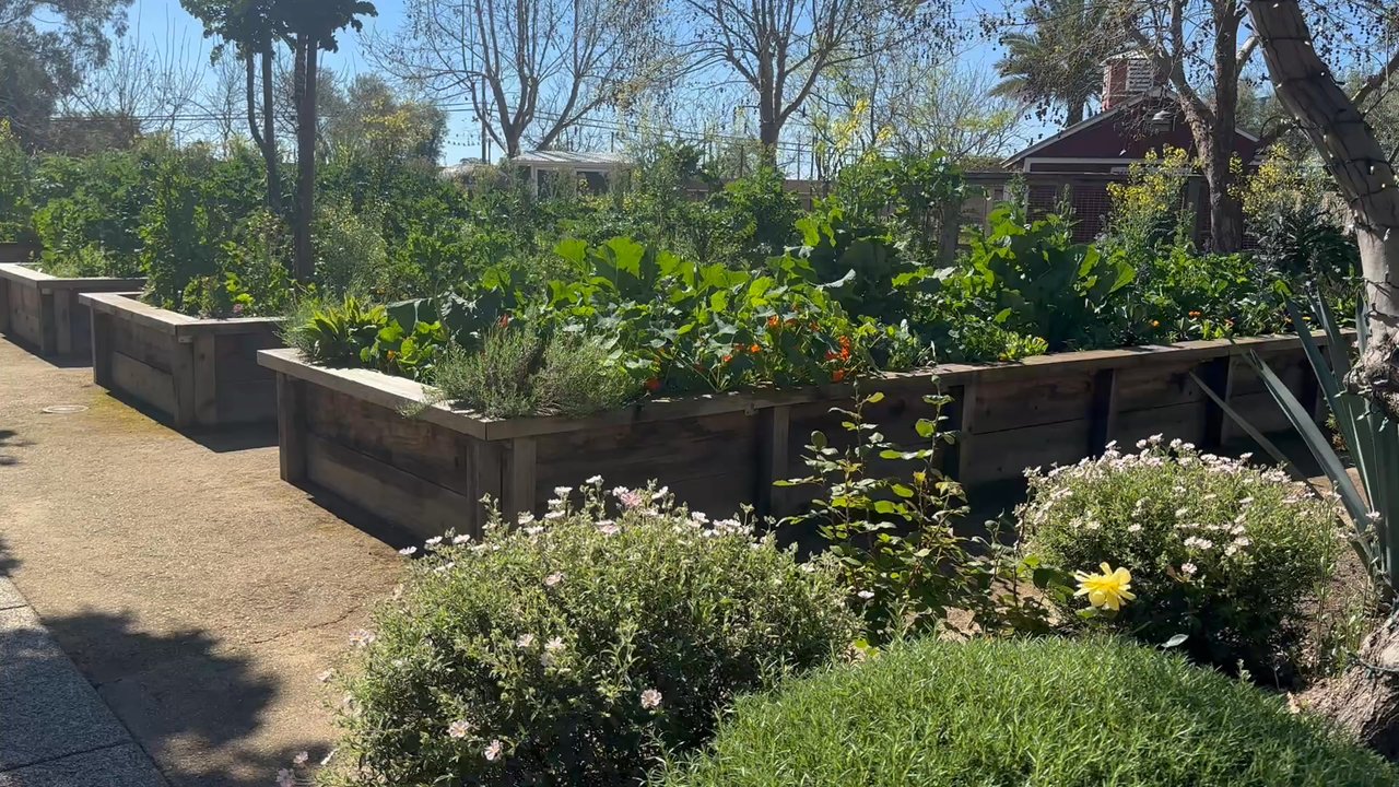 Boon Fly Cafe - Farming area of the resort. Fun to walk through after the meal - American Near Me - Napa, California