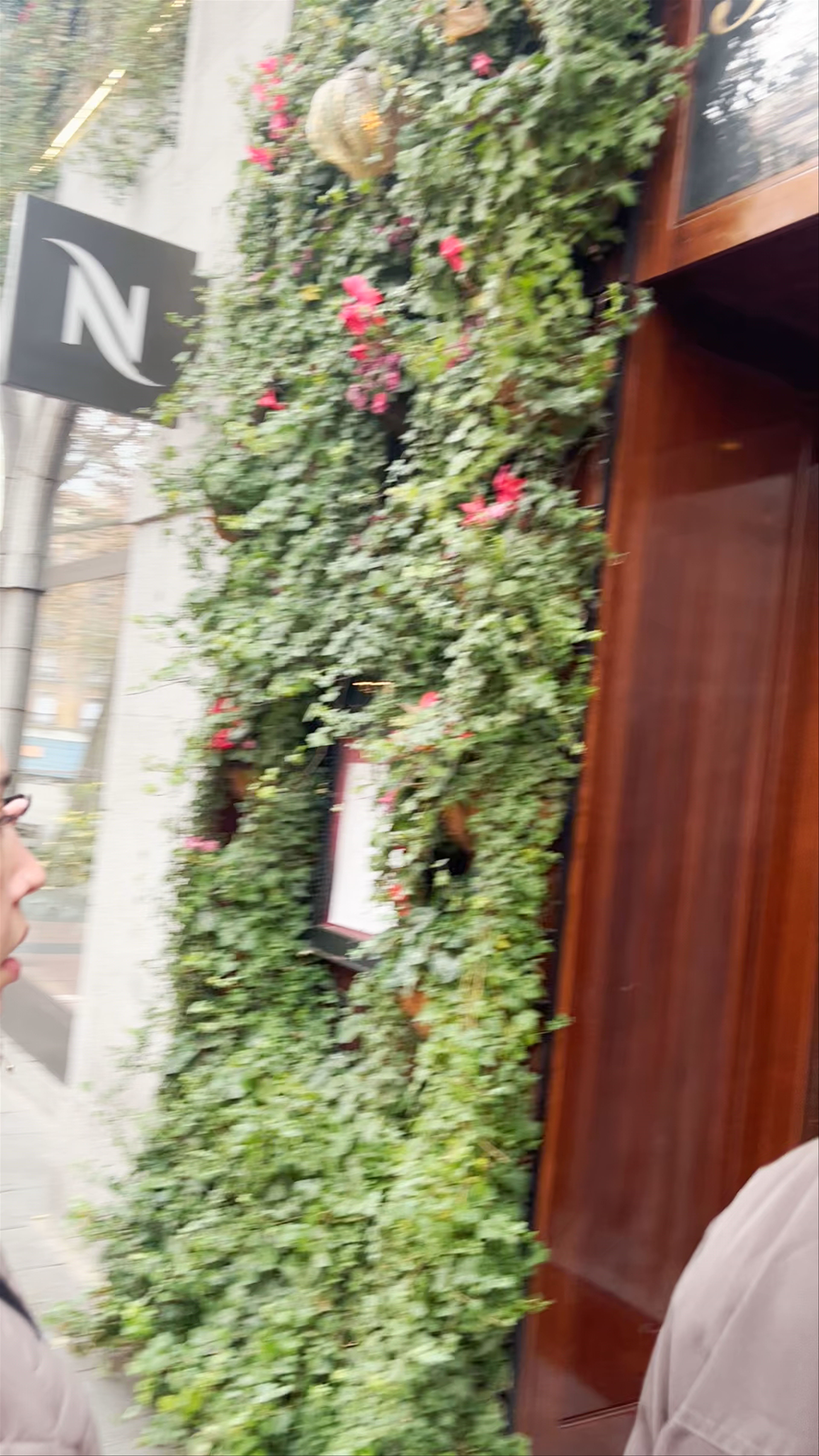 Restaurante Bel Mondo: A Hidden Culinary Gem in Madrid