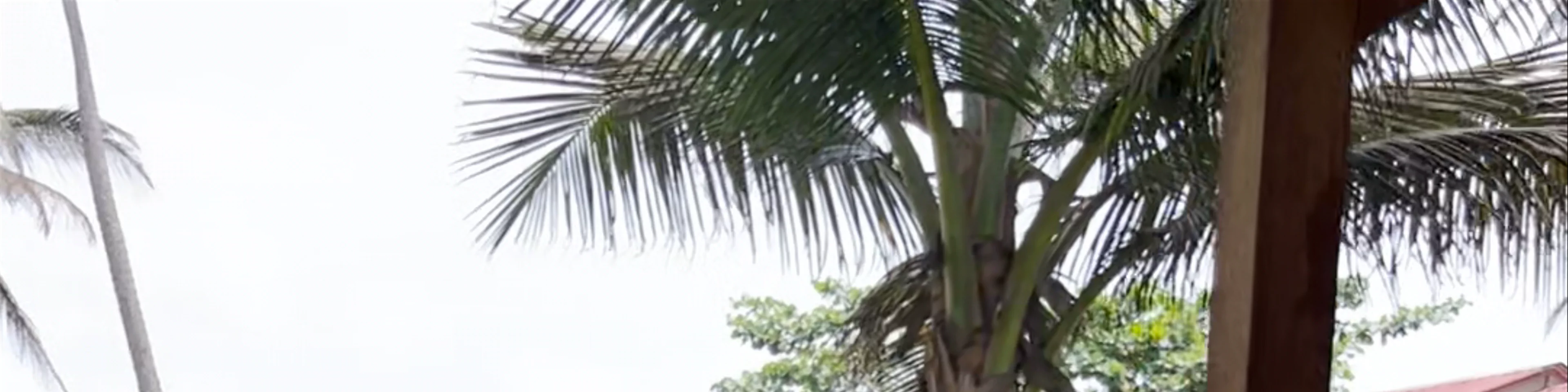 Tortue ecolodge