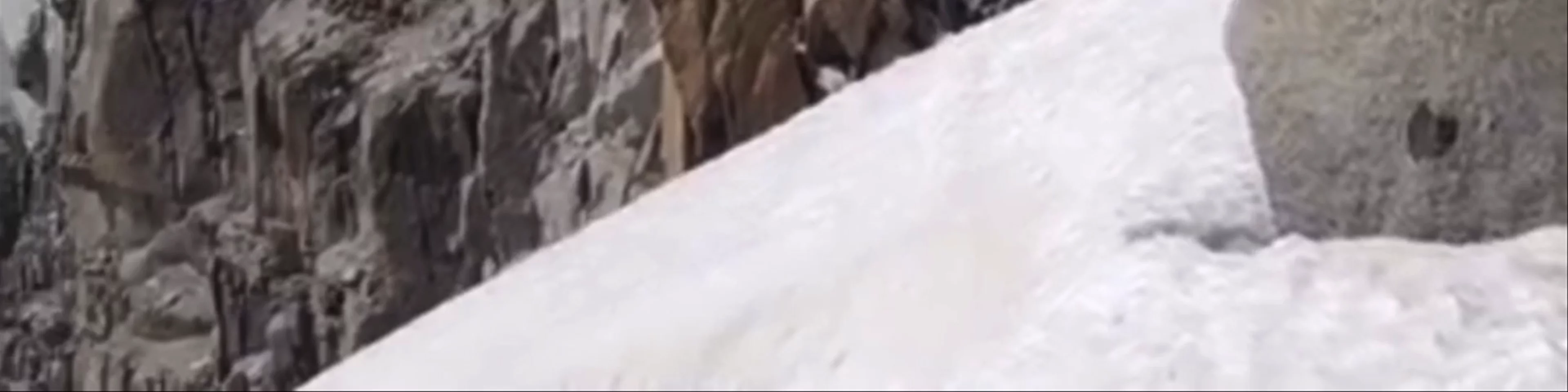 Alpine Mountain Guide - Steve Hartland