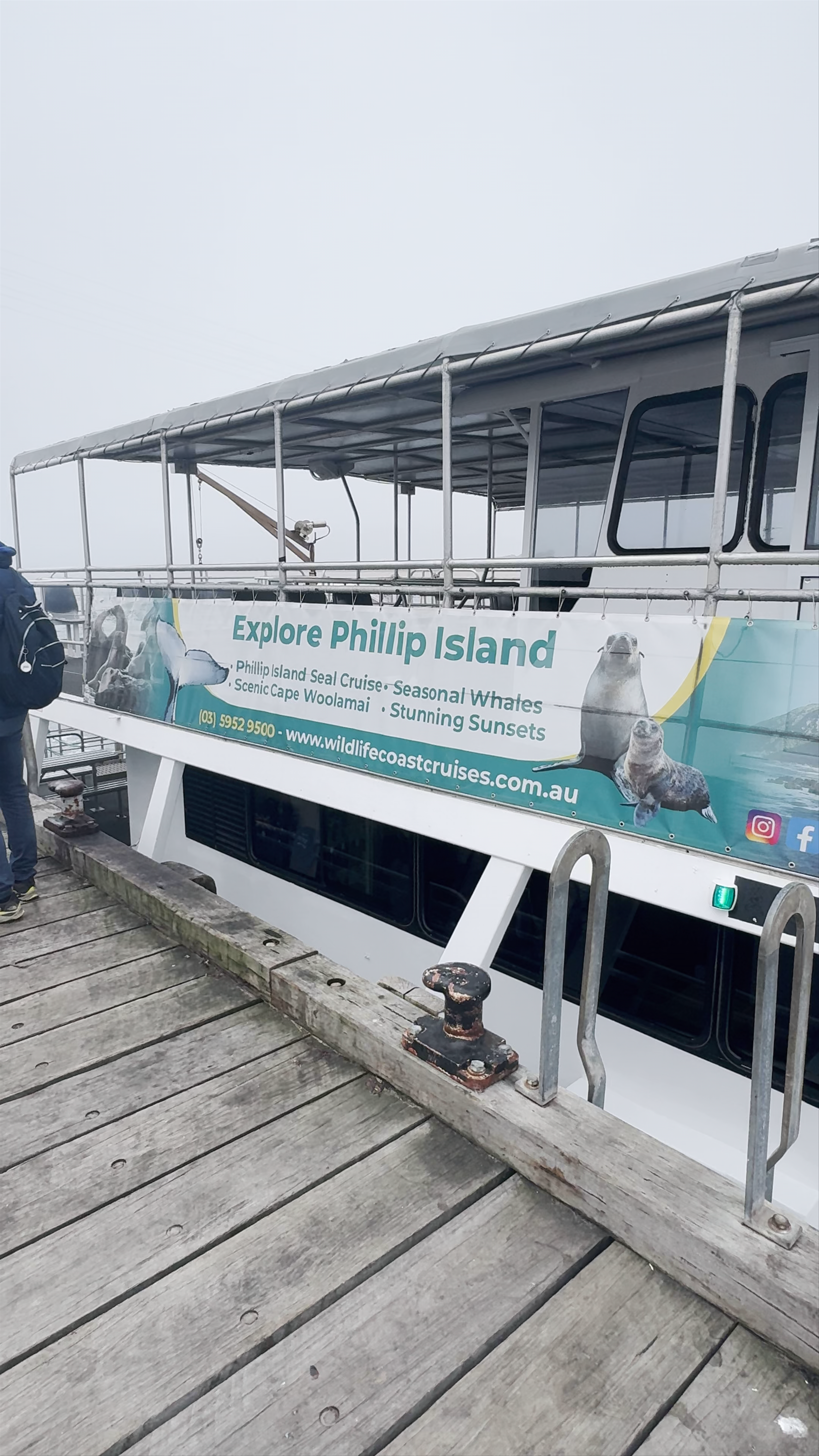 Phillip Island Whale Watching
