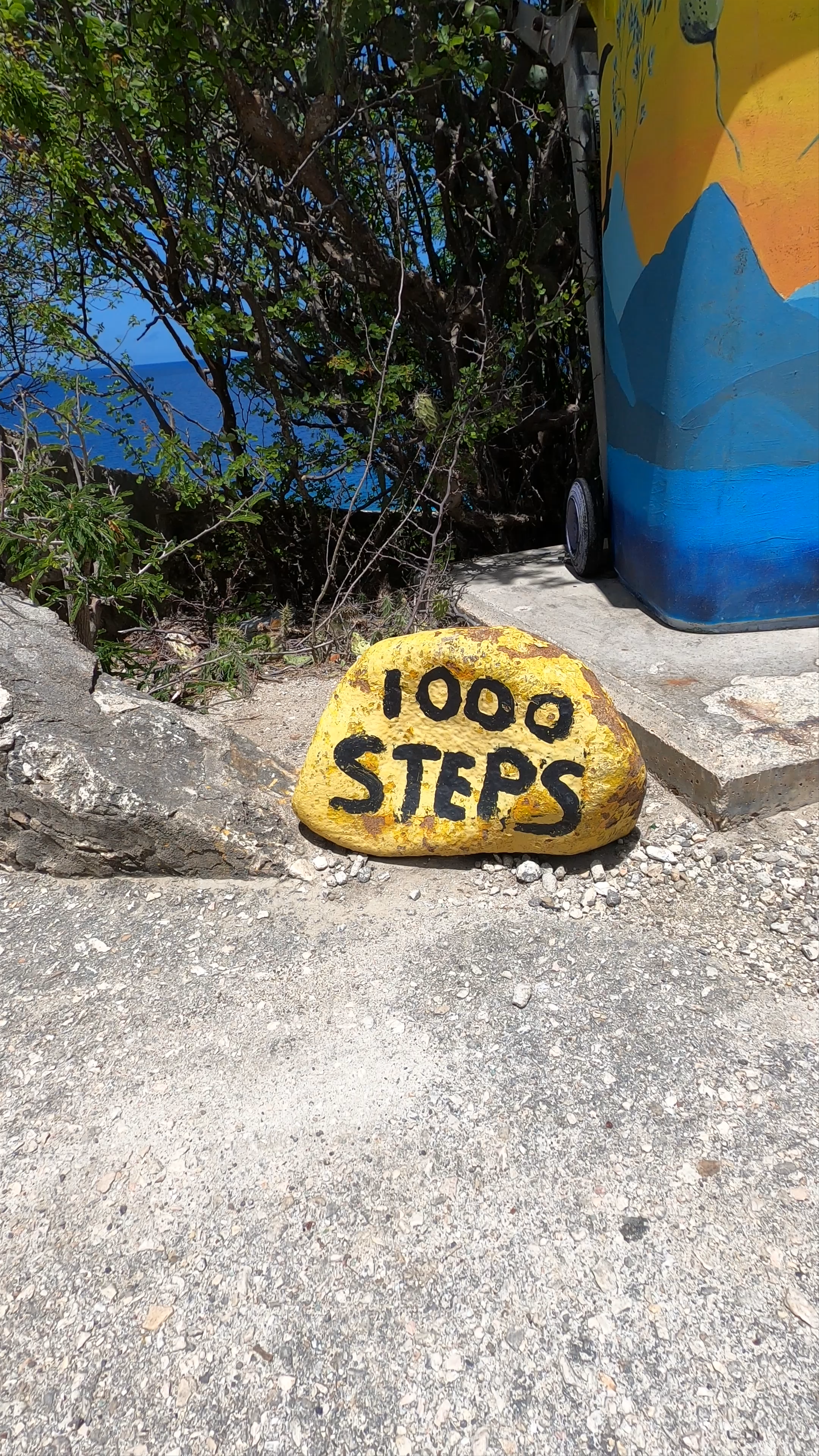 1000 Steps