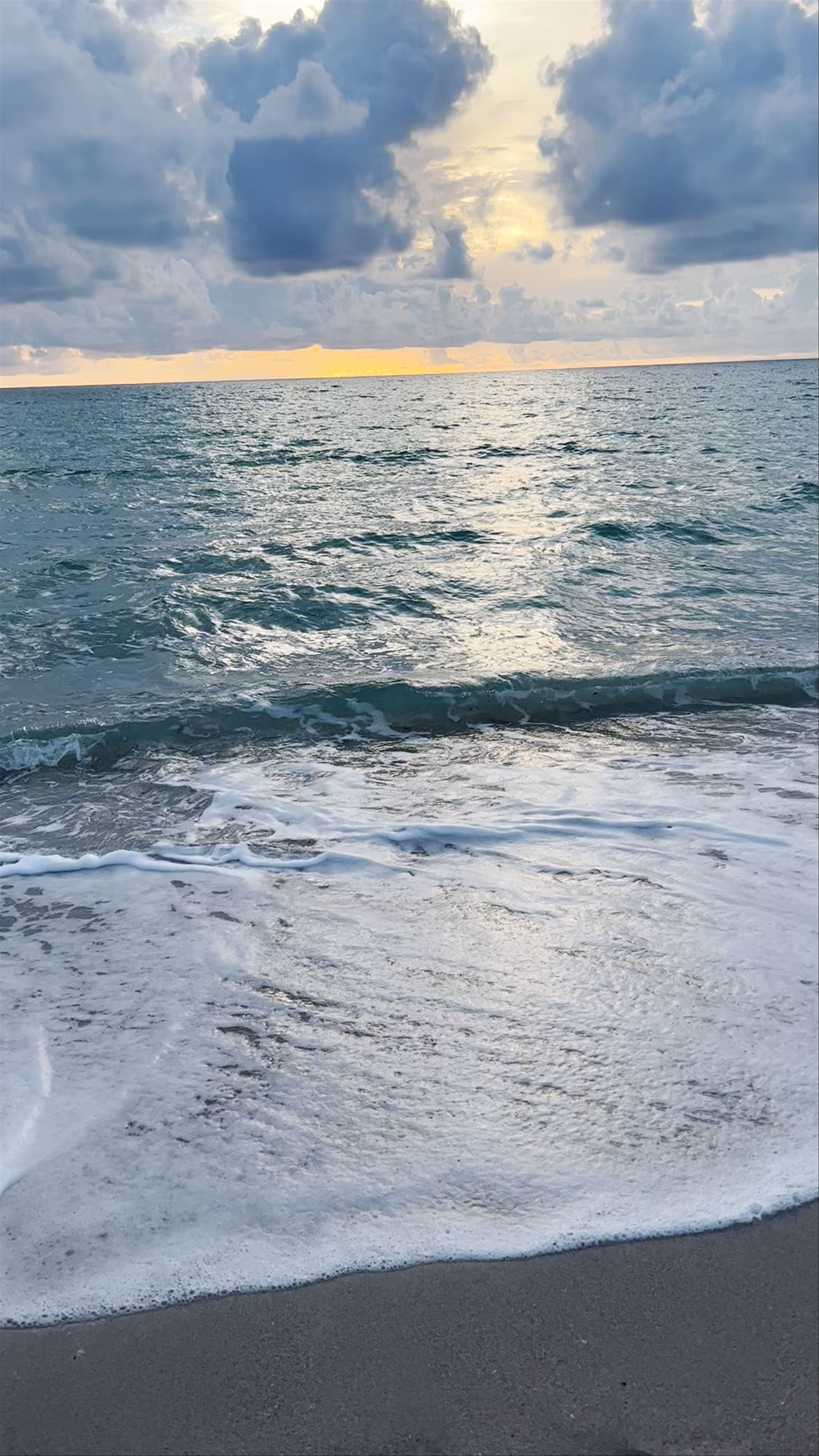 The Diplomat Beach Resort Hollywood