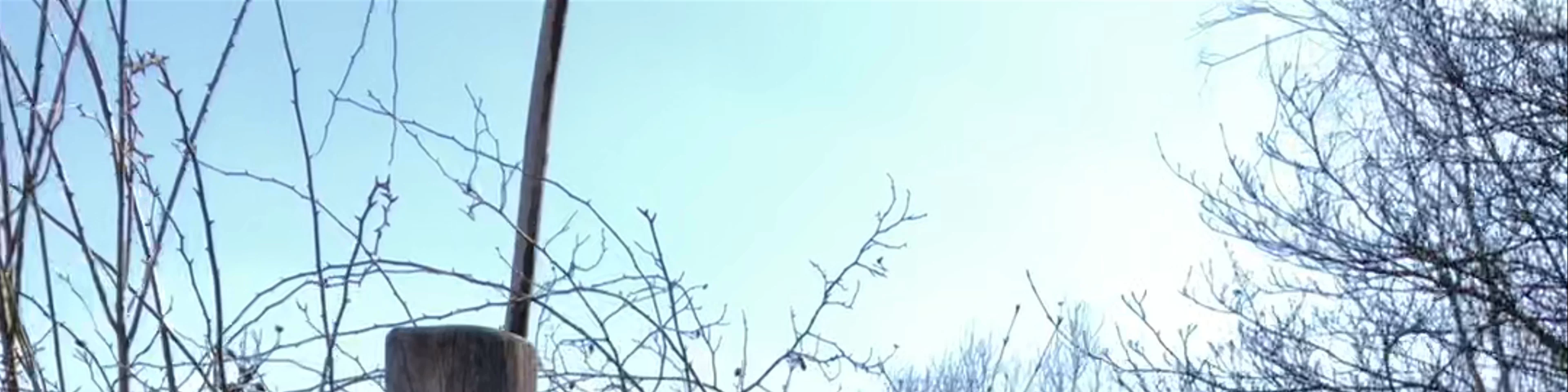 Sielmanns Natur-Erlebniszentrum Wanninchen