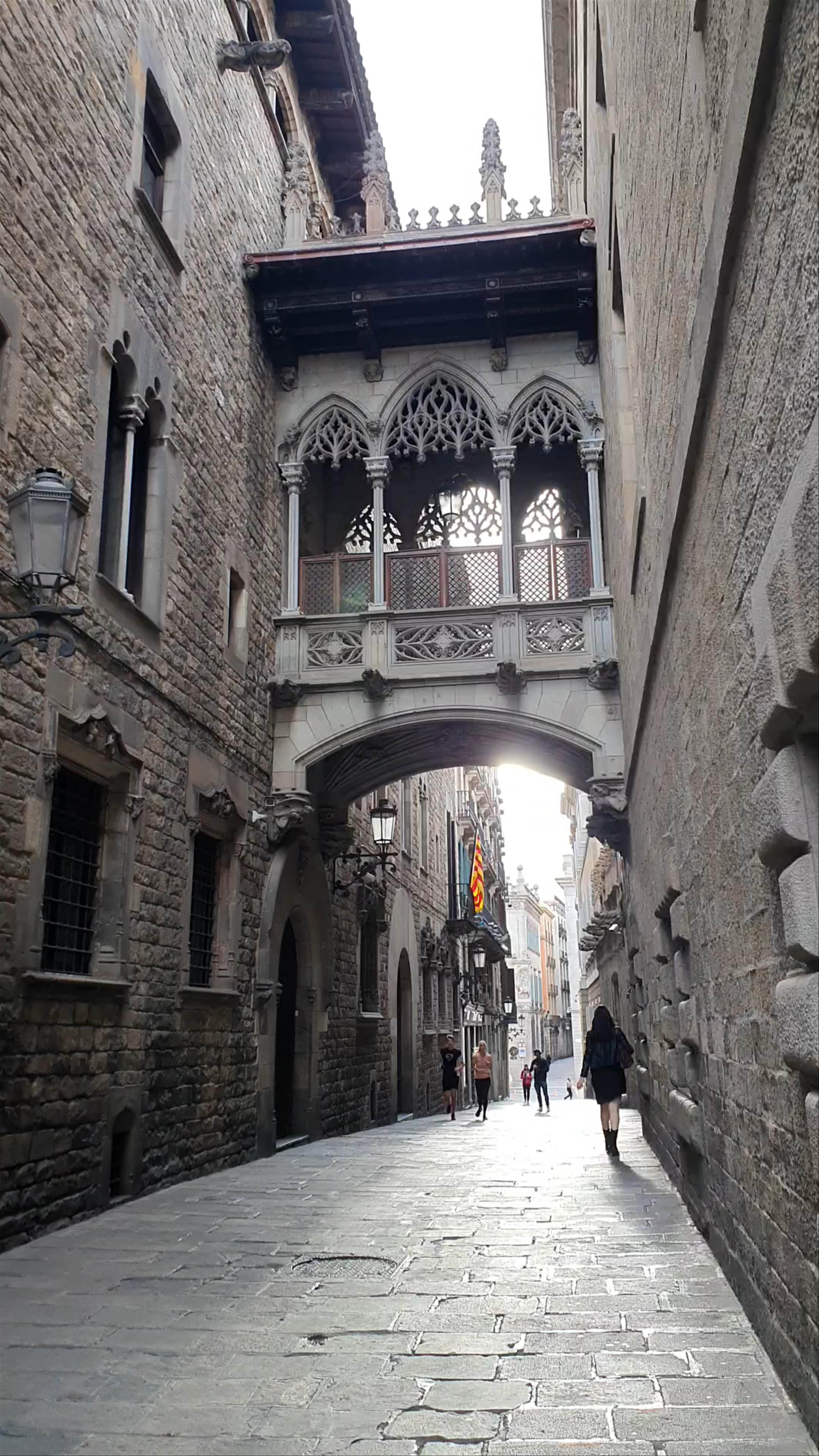 El Pont del Bisbe: Gothic Bridge Walk in Barcelona