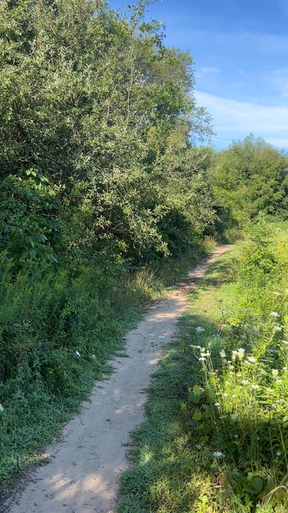 Fort Custer State Recreation Area - Parks Near Me - Augusta, Michigan
