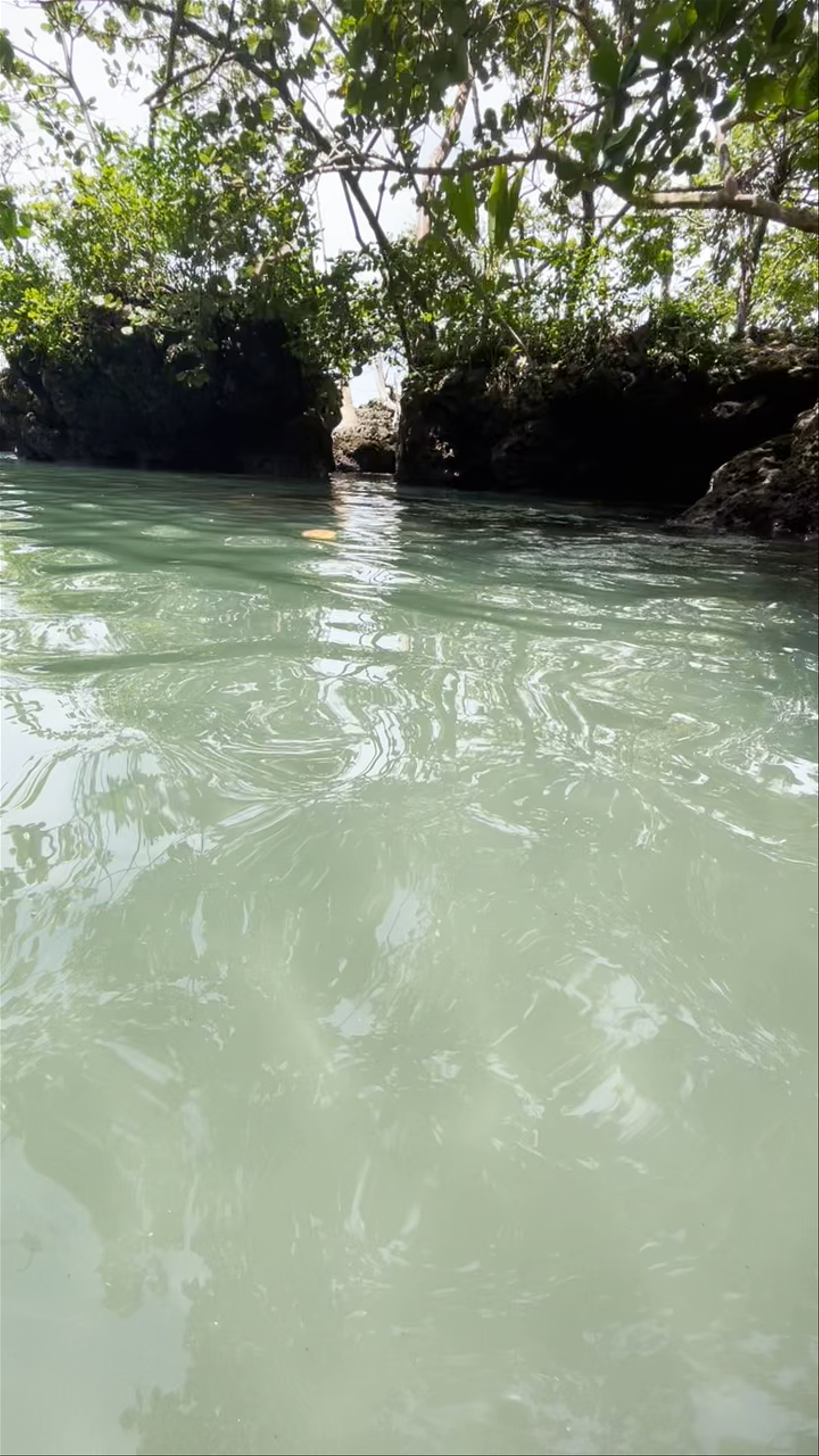 Magical Swim at Playa Negra, Cahuita - Costa Rica's Hidden Coastal Gem
