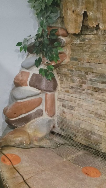 Shell - Fountain Urinal - Gas Stations Near Me - Nipton, California