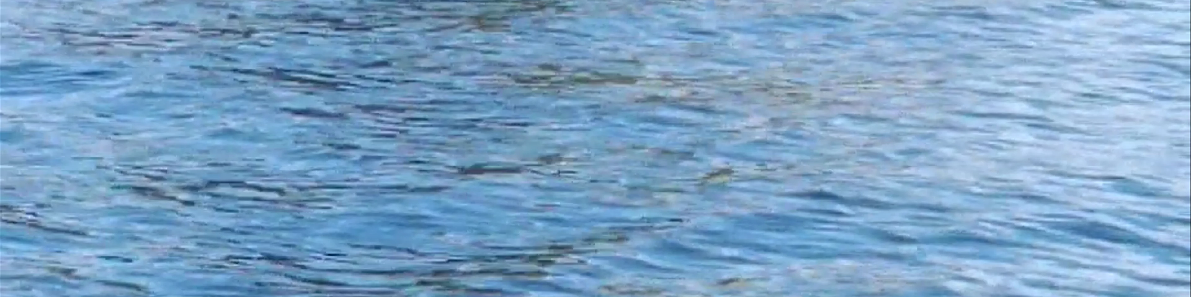 Coiba Island