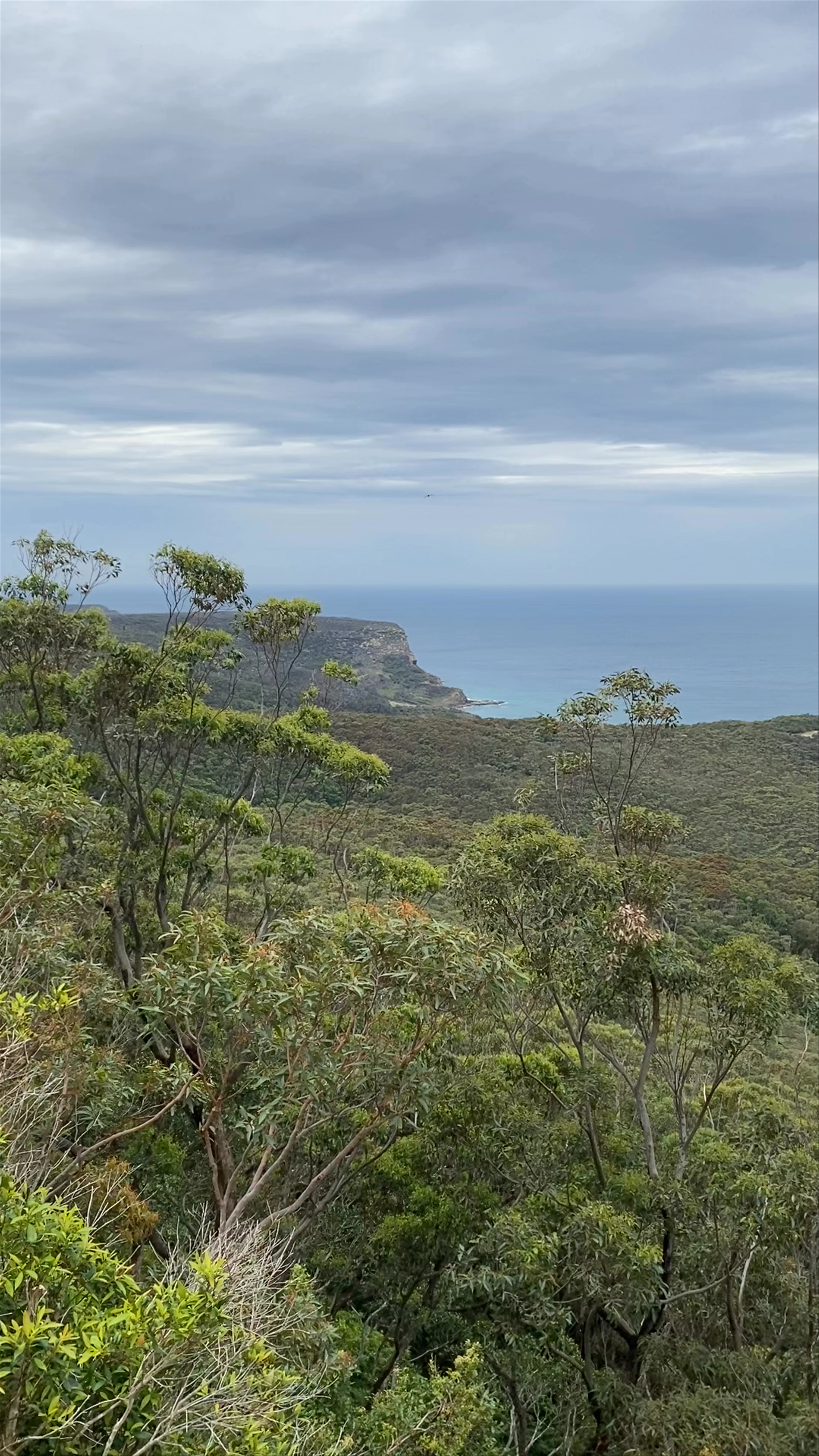 Governor Game Lookout
