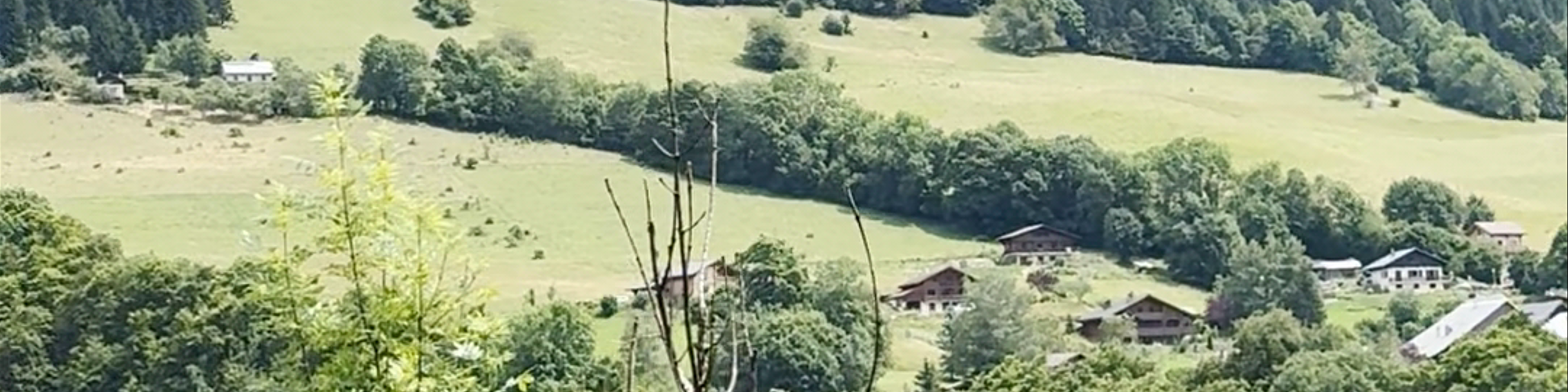 La Chaux-de-Fonds