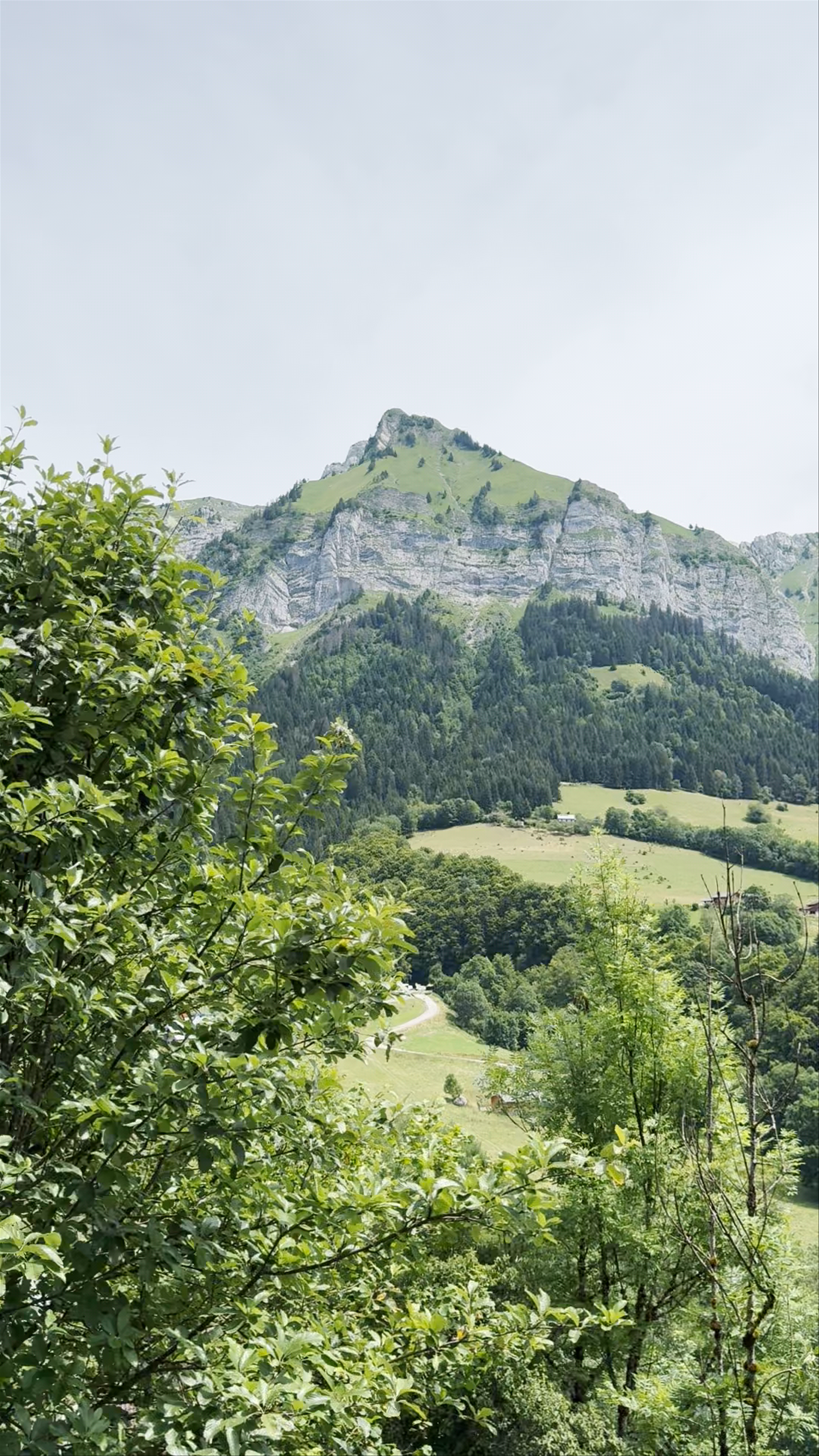 Les Echelles De La Mort