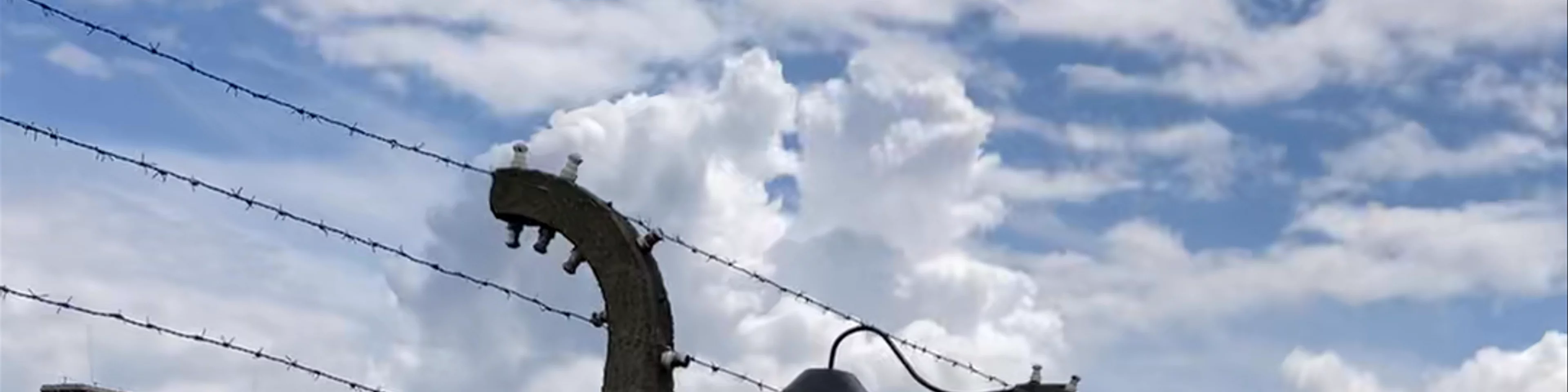 Auschwitz-Birkenau