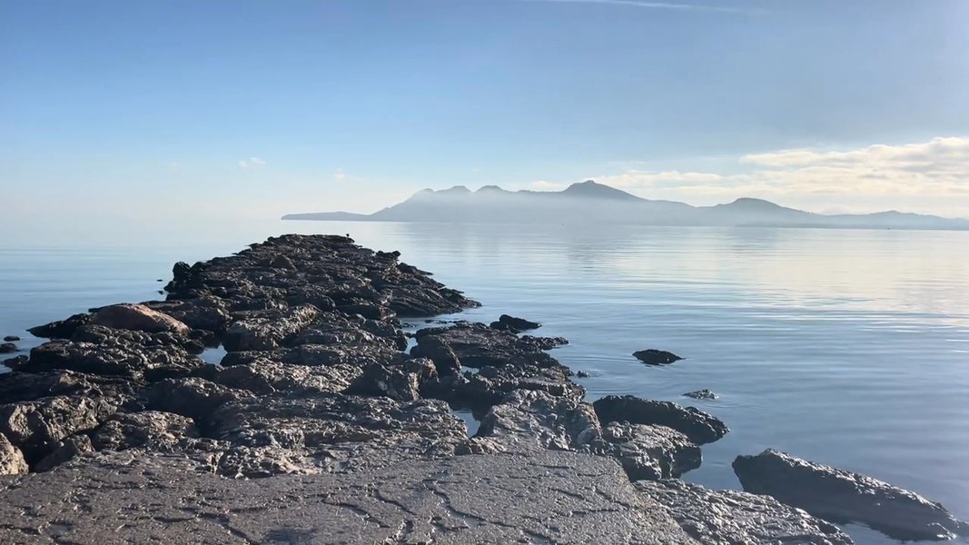 DAY 10: The 10 minute RESET - no mat required.