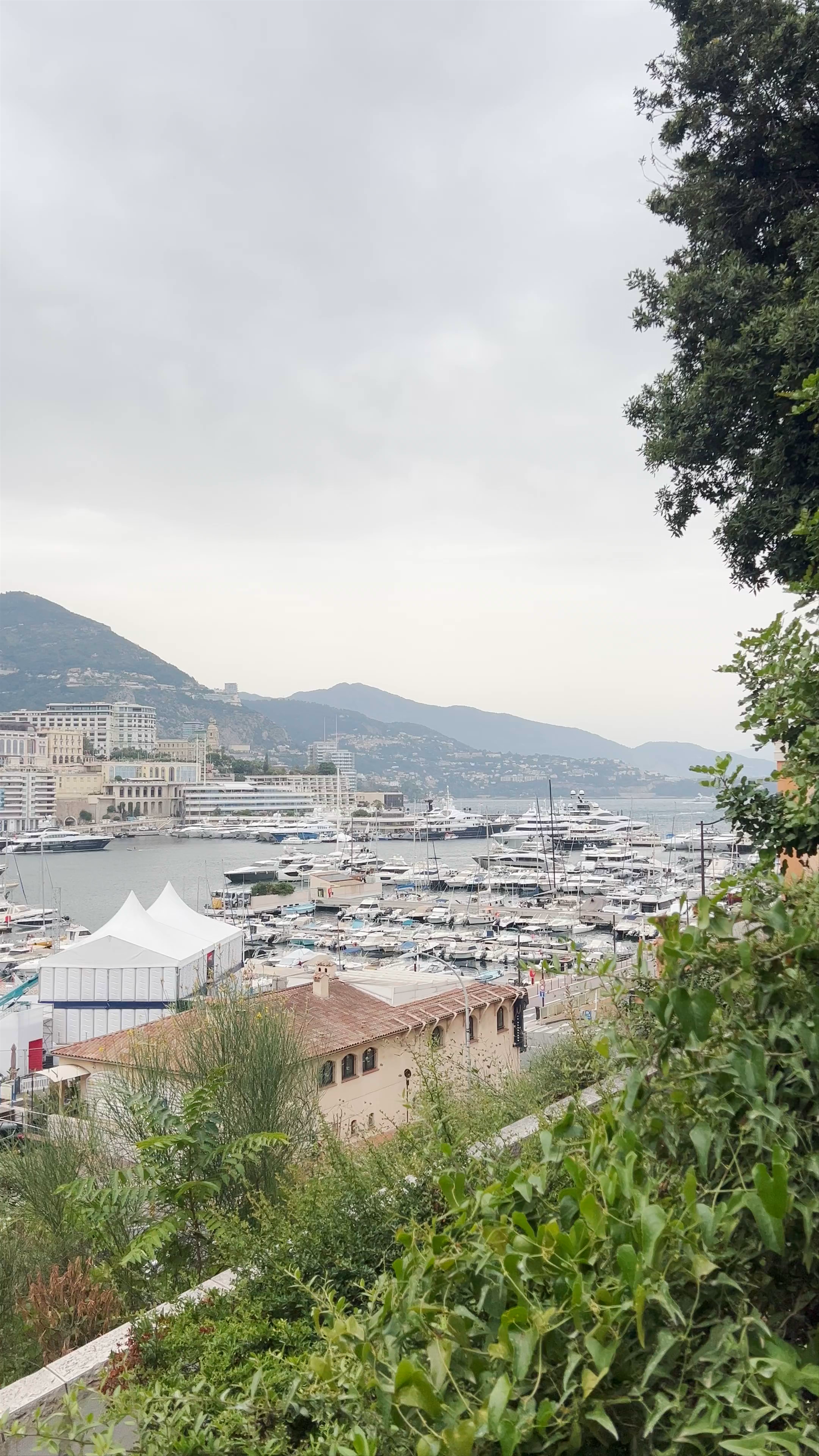 Spectacular Panoramic View of Monaco Harbor from Rue des Remparts