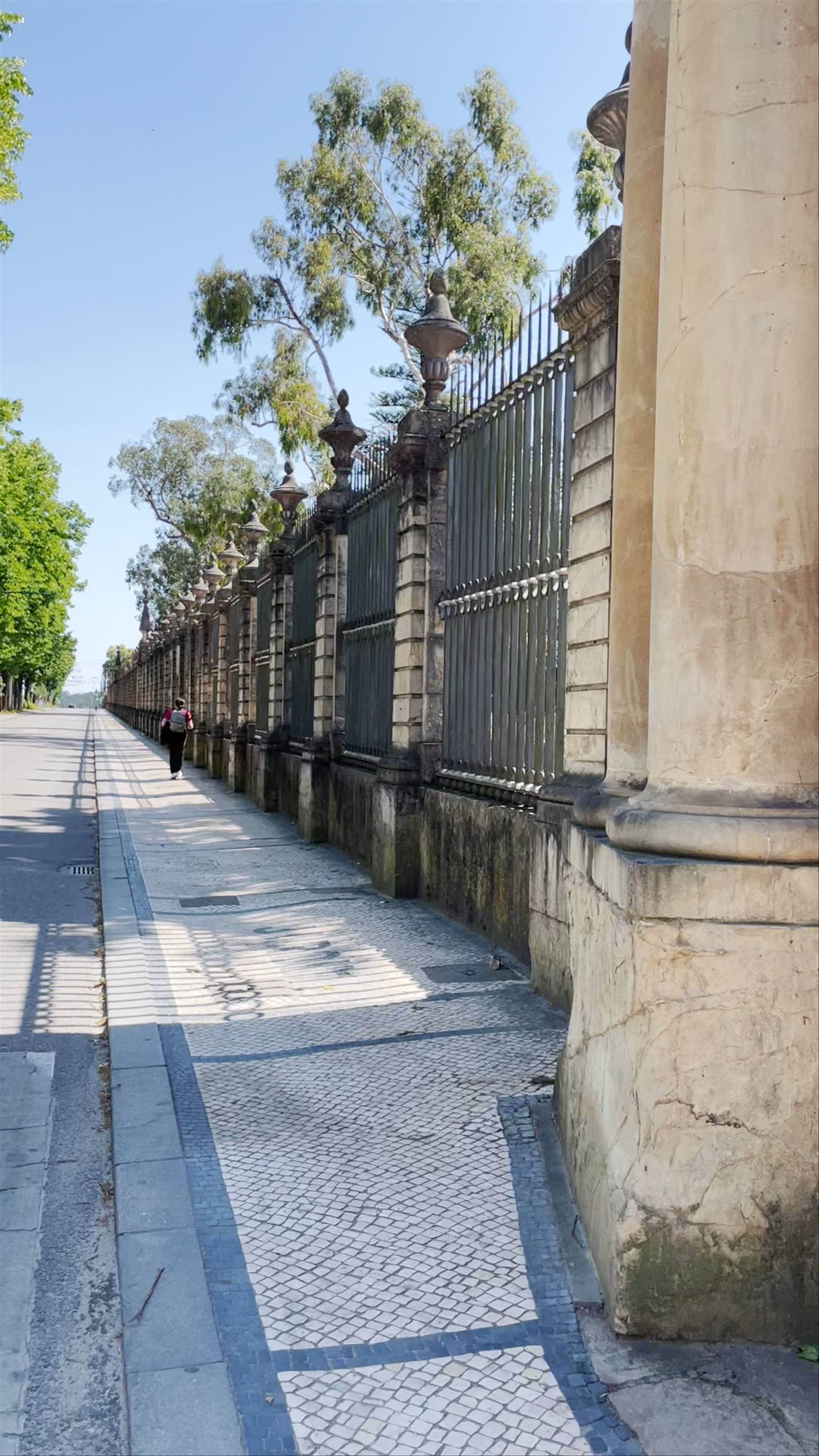 Jardim Botânico da Universidade de Coimbra: Tranquil Botanical Escape in Historic Portugal