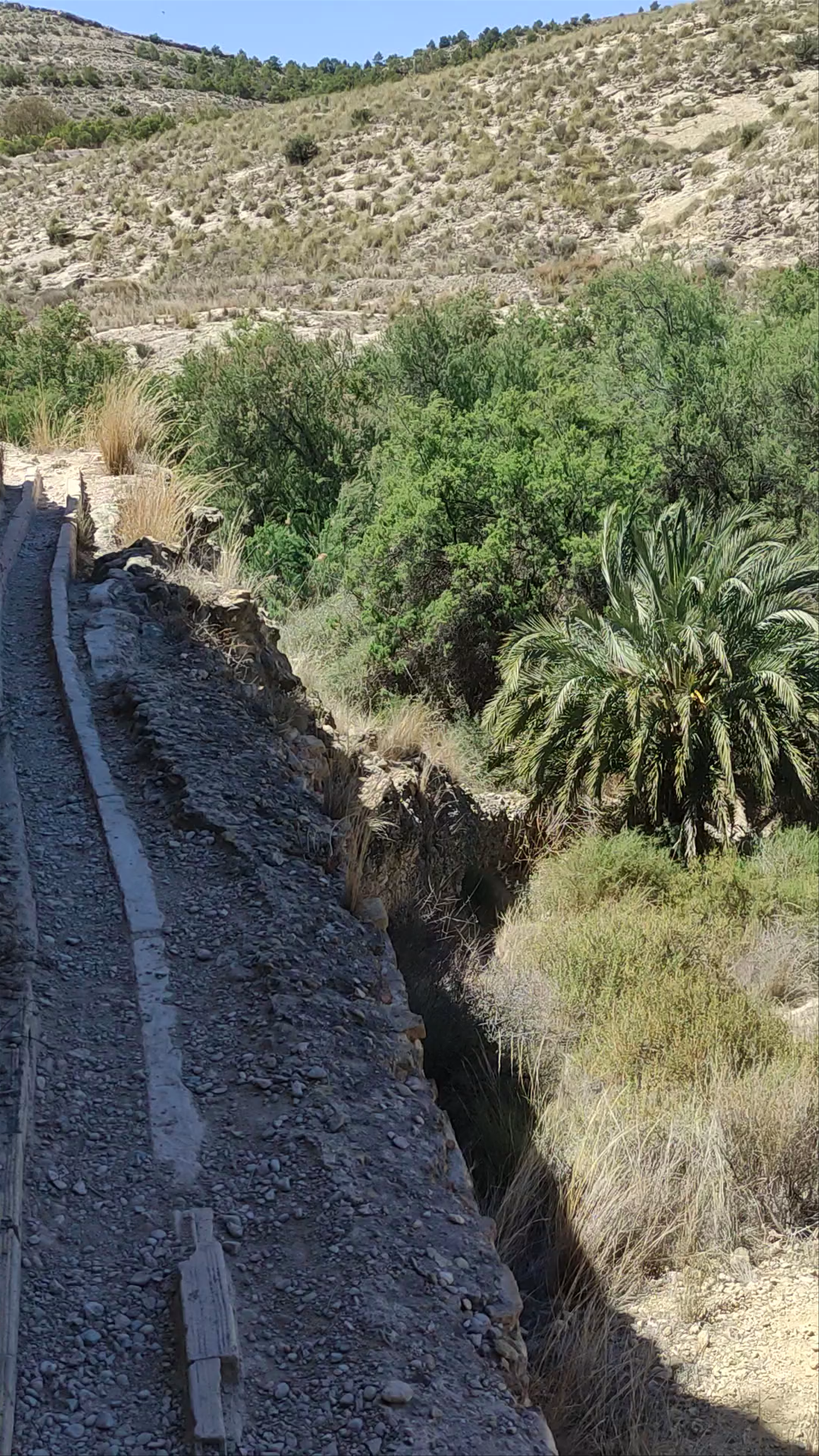 Exploring Explanat del Pantà d'Elx: Rugged Beauty and Hidden Trails