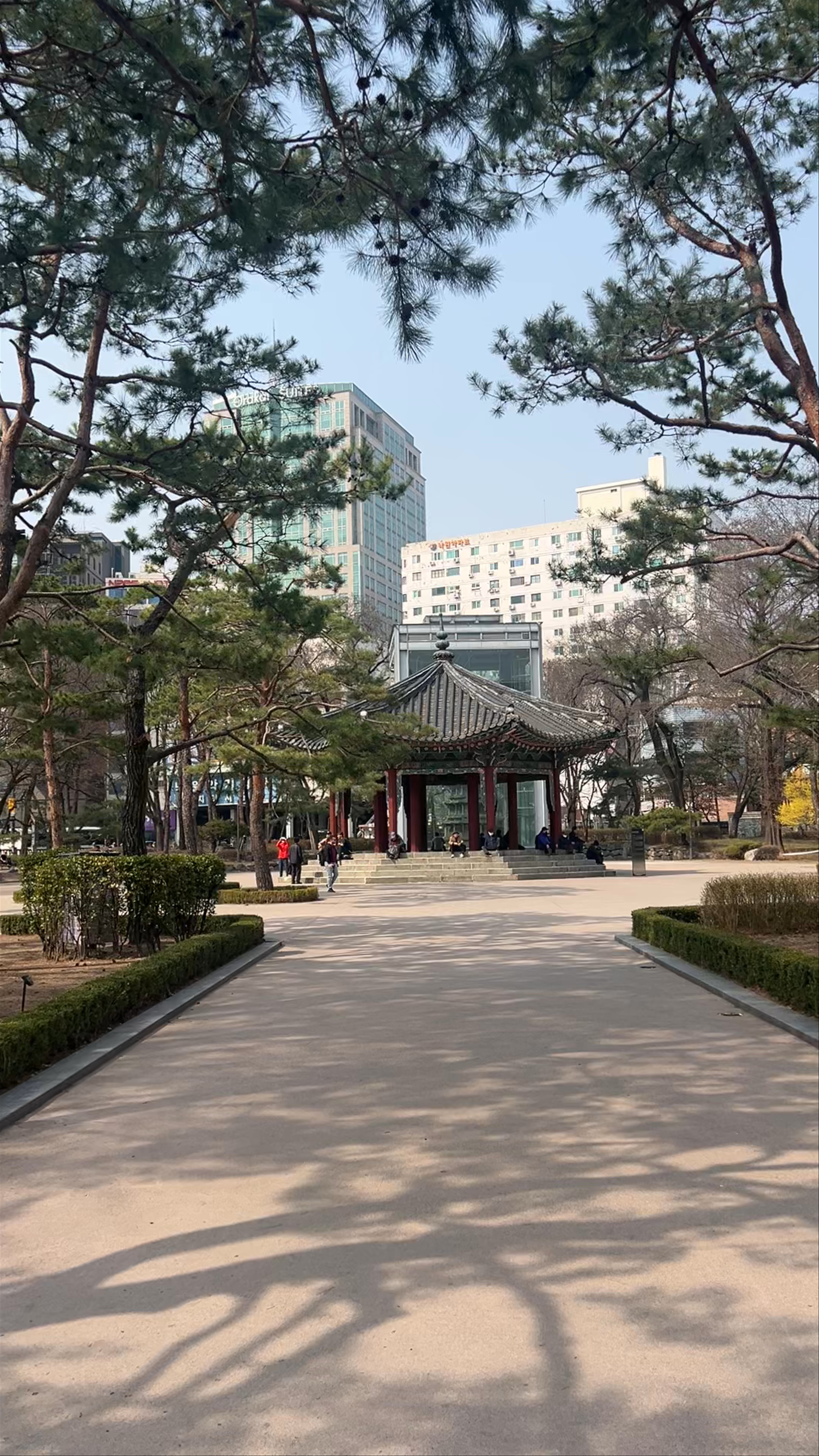 Tranquil Reflections at Tapgol Park, Seoul