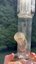 Small image 7
